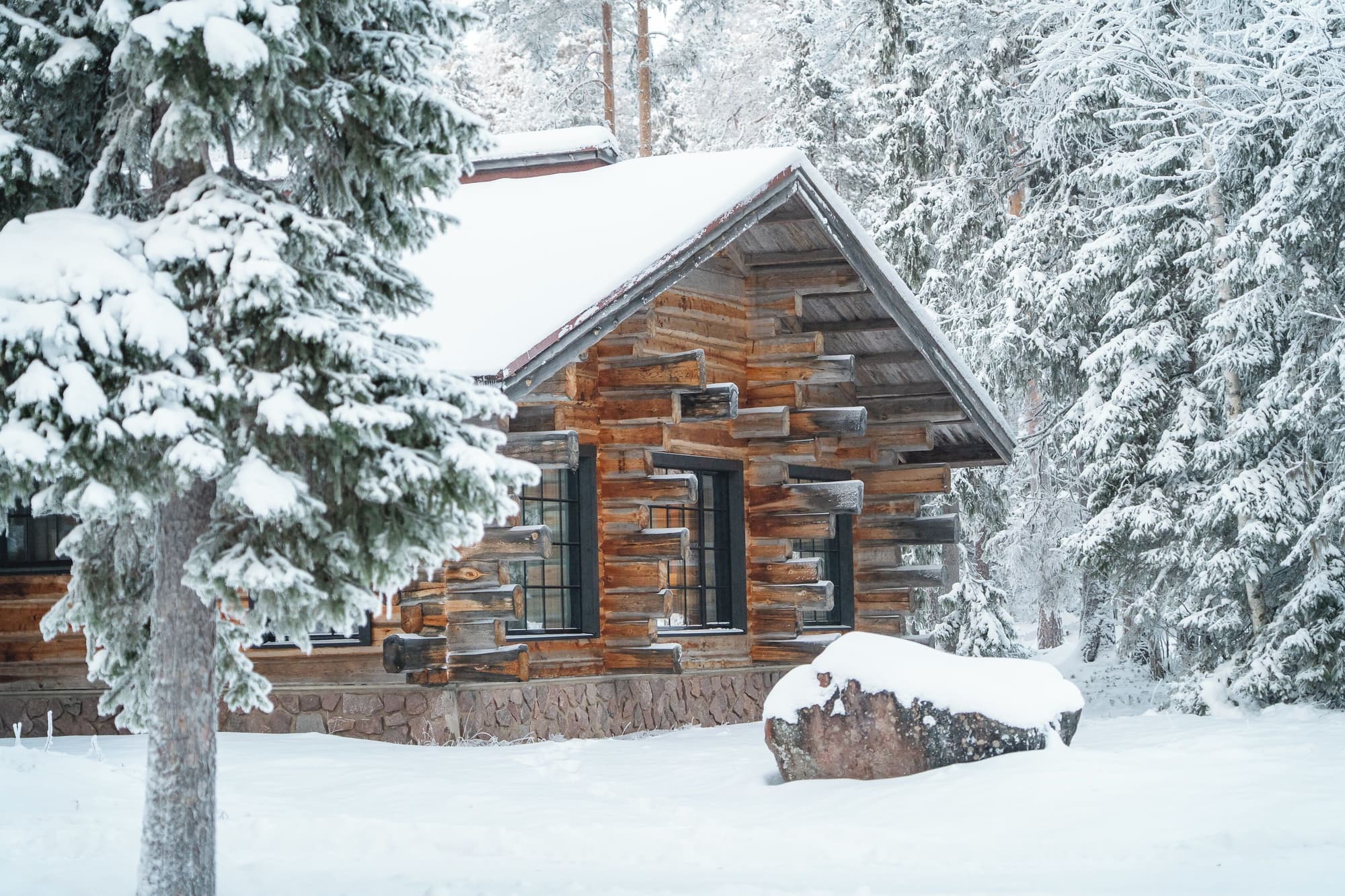 Vaattunki Wilderness Resort