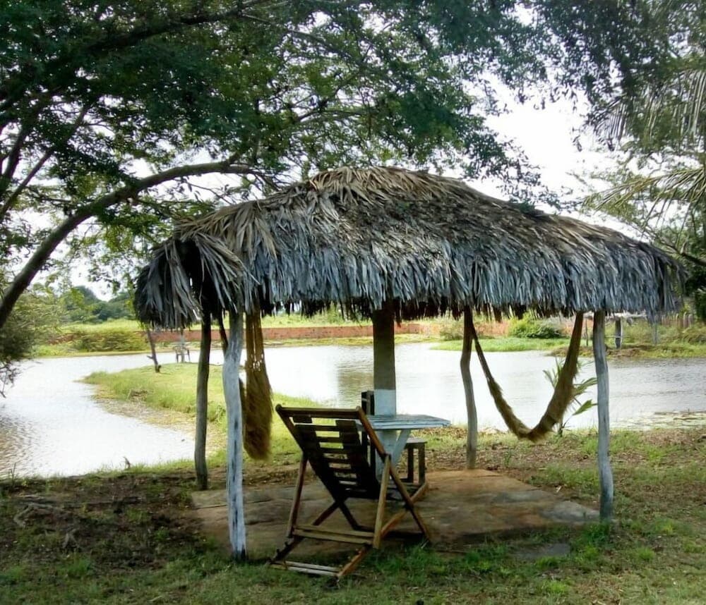 Delta Park