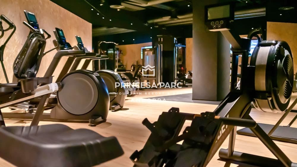 Hotel Spa Princesa Parc Excellence