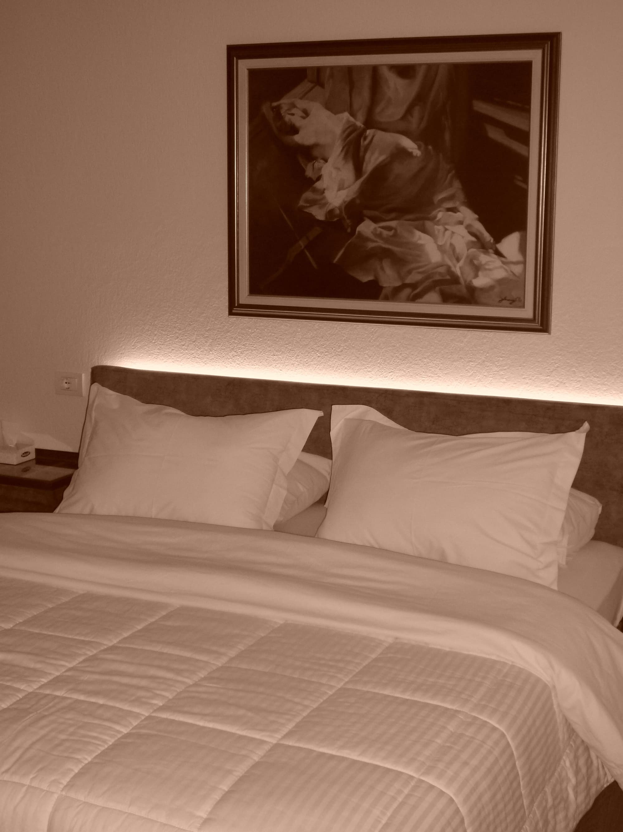 Drini Hotel
