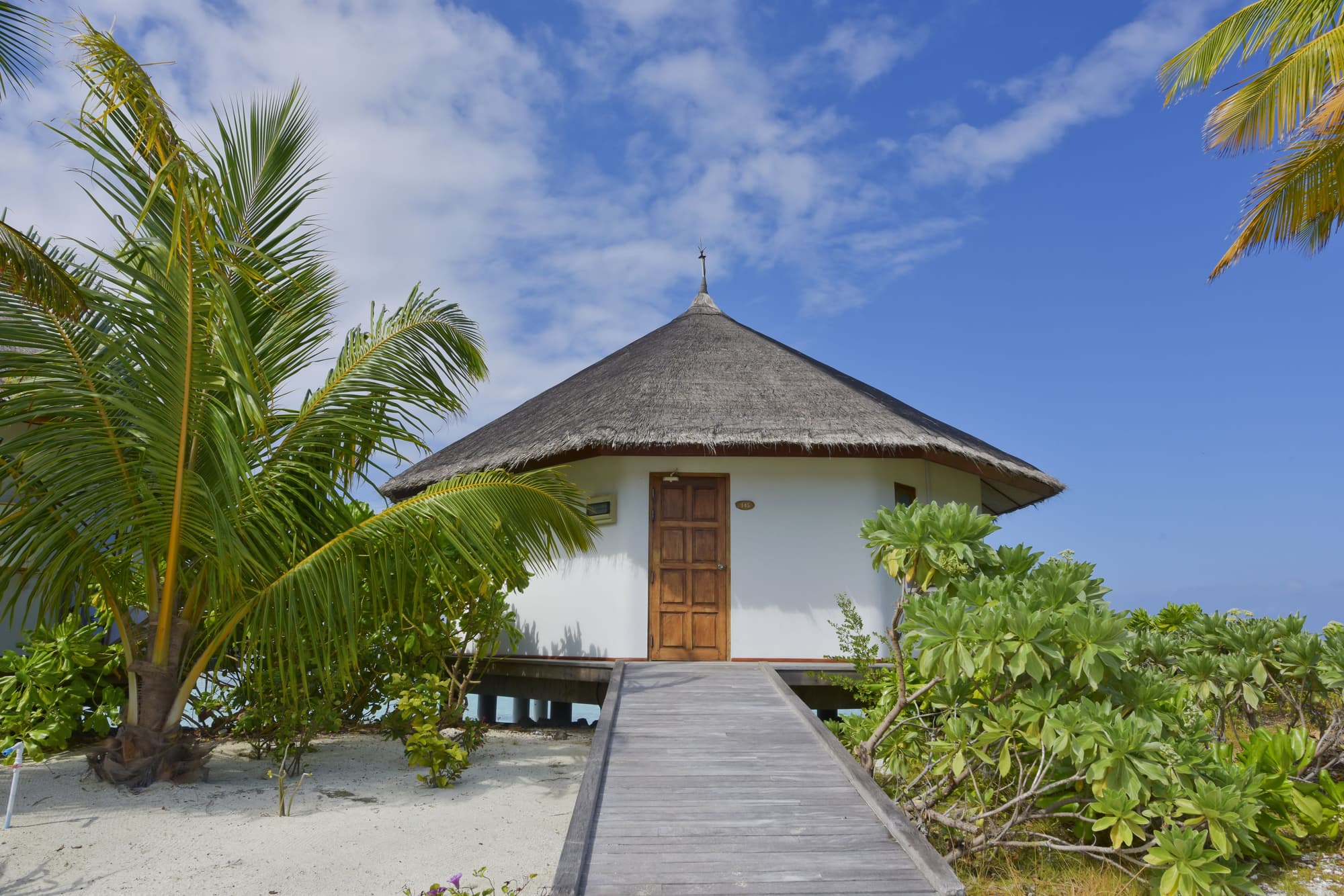 Safari Island Resort