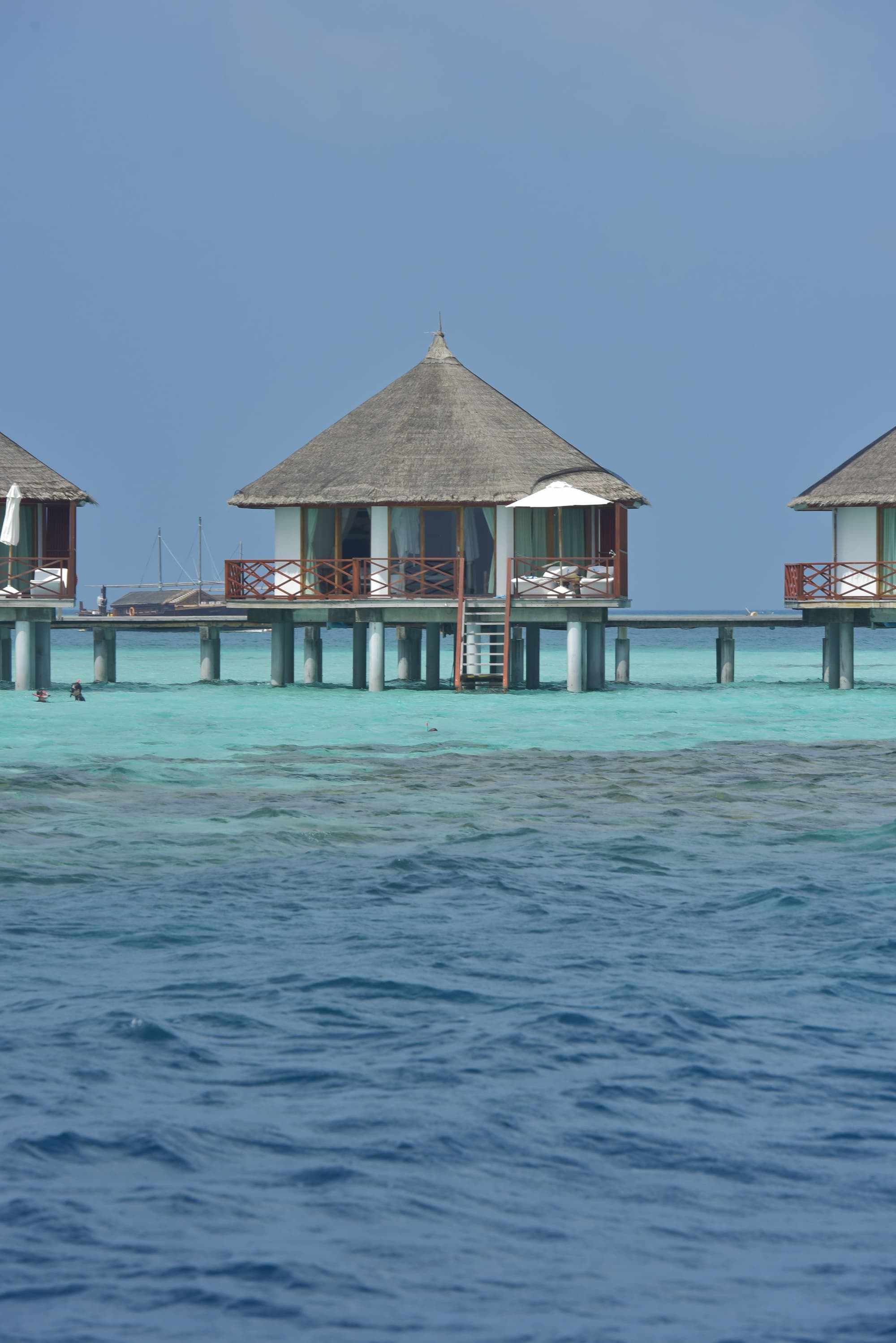 Safari Island Resort