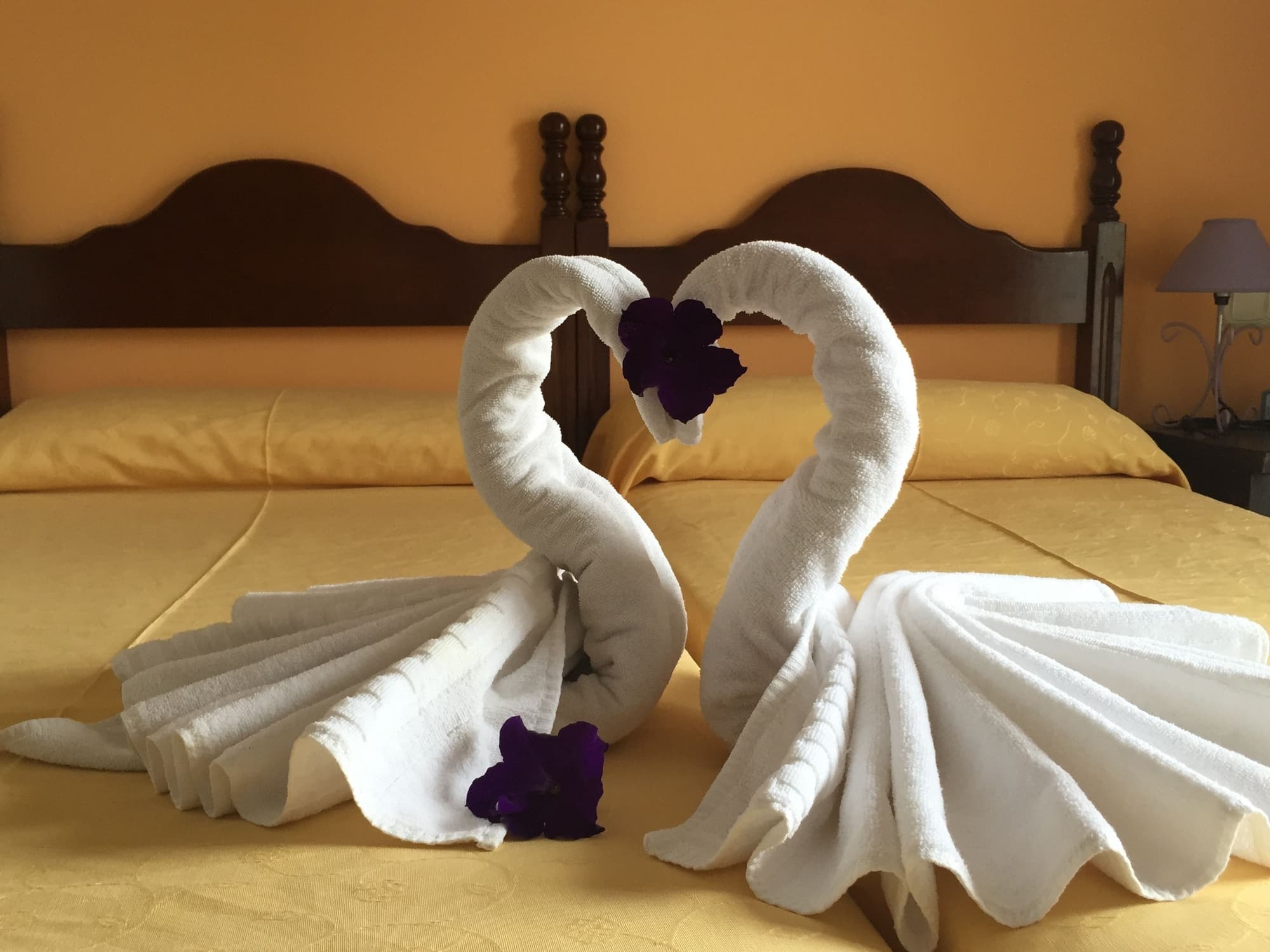 Hotel Carmen Teresa