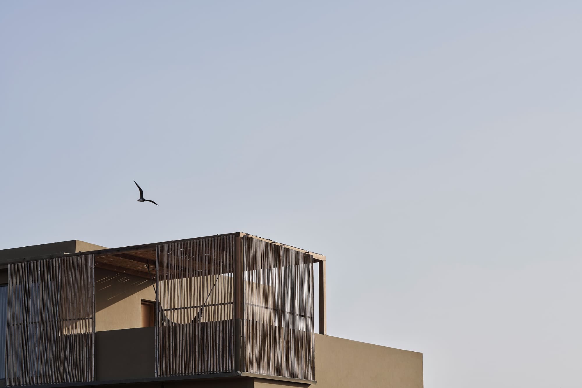 Casa Cook El Gouna - Adults Only