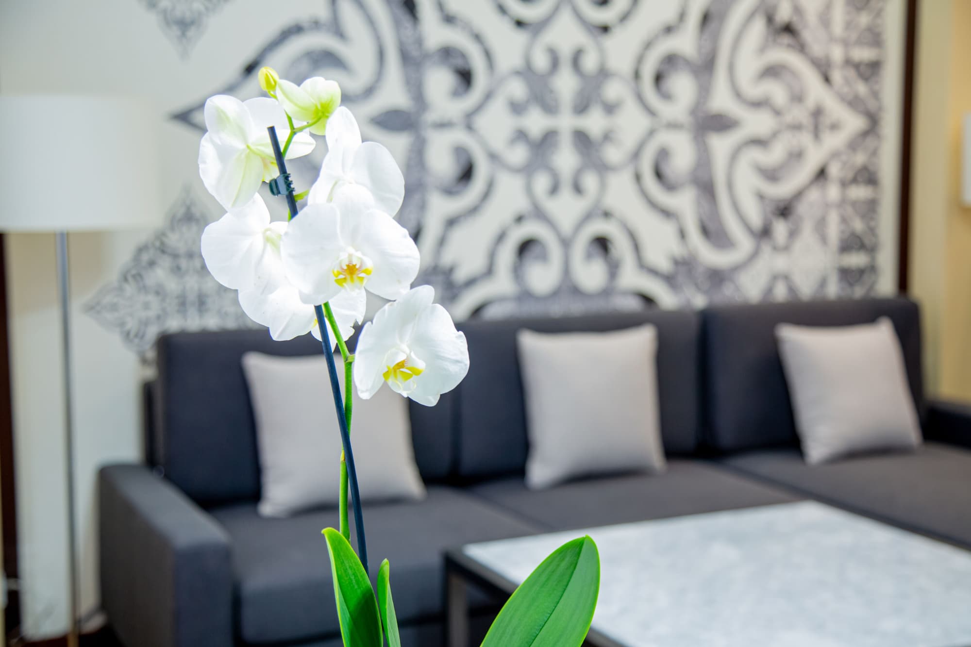 Kazzhol Park Hotel