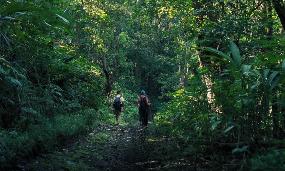 Munduk Moding Plantation Nature Resort