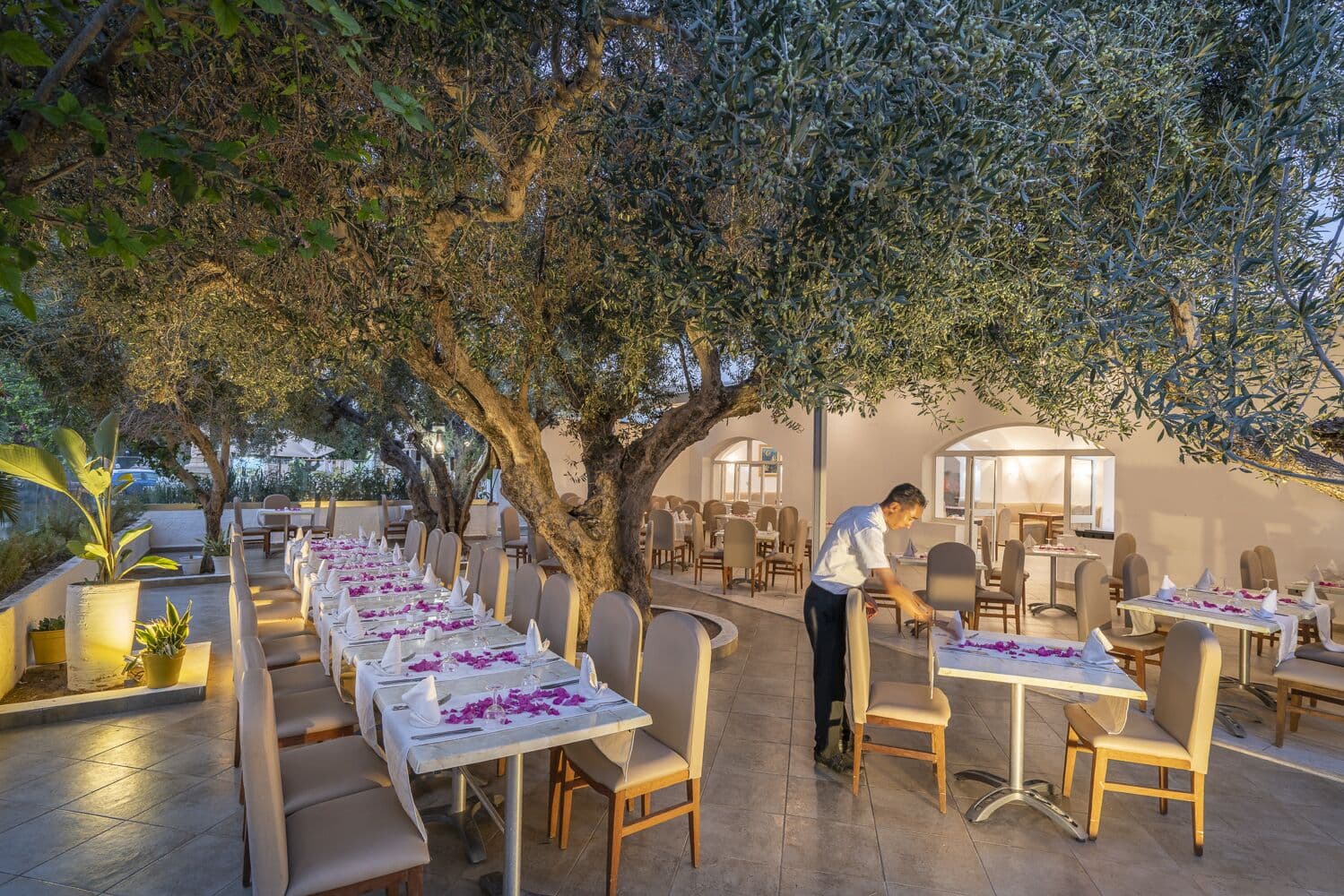 Le Hammamet Hotel & Spa