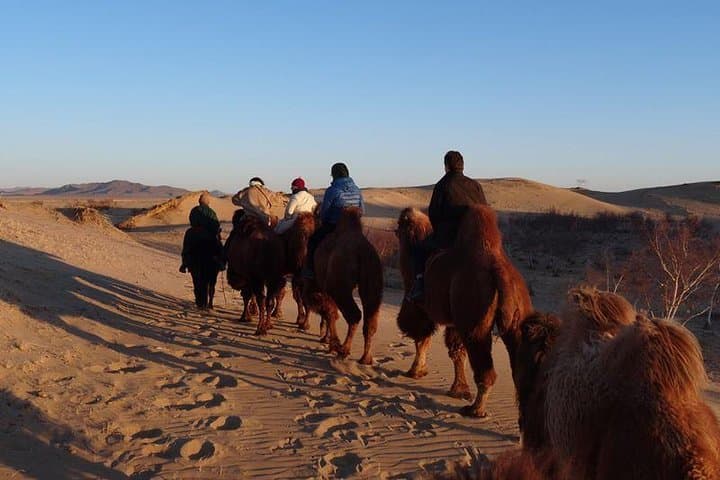 ticket