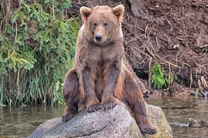 ticket