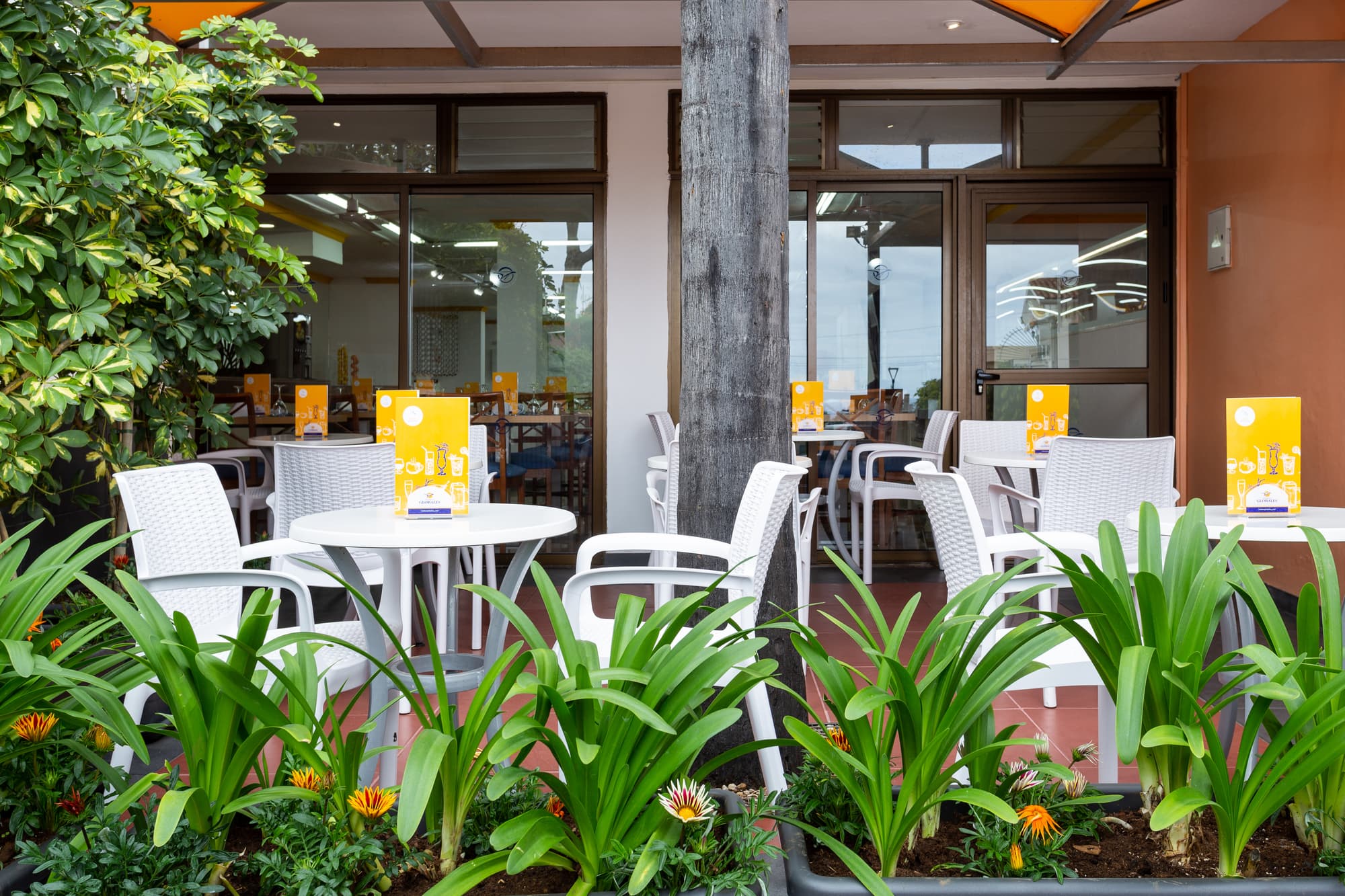 Globales Acuario, Bar