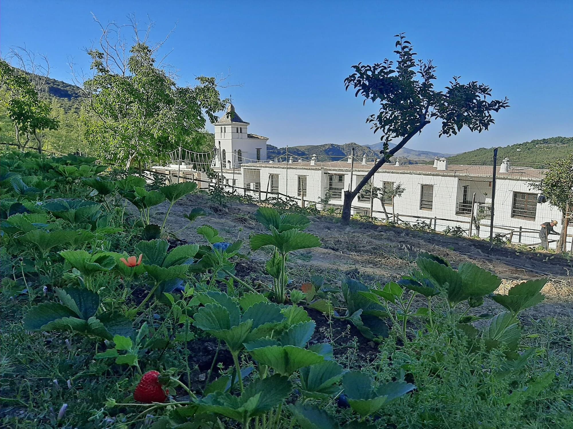 Alcazaba de Busquistar