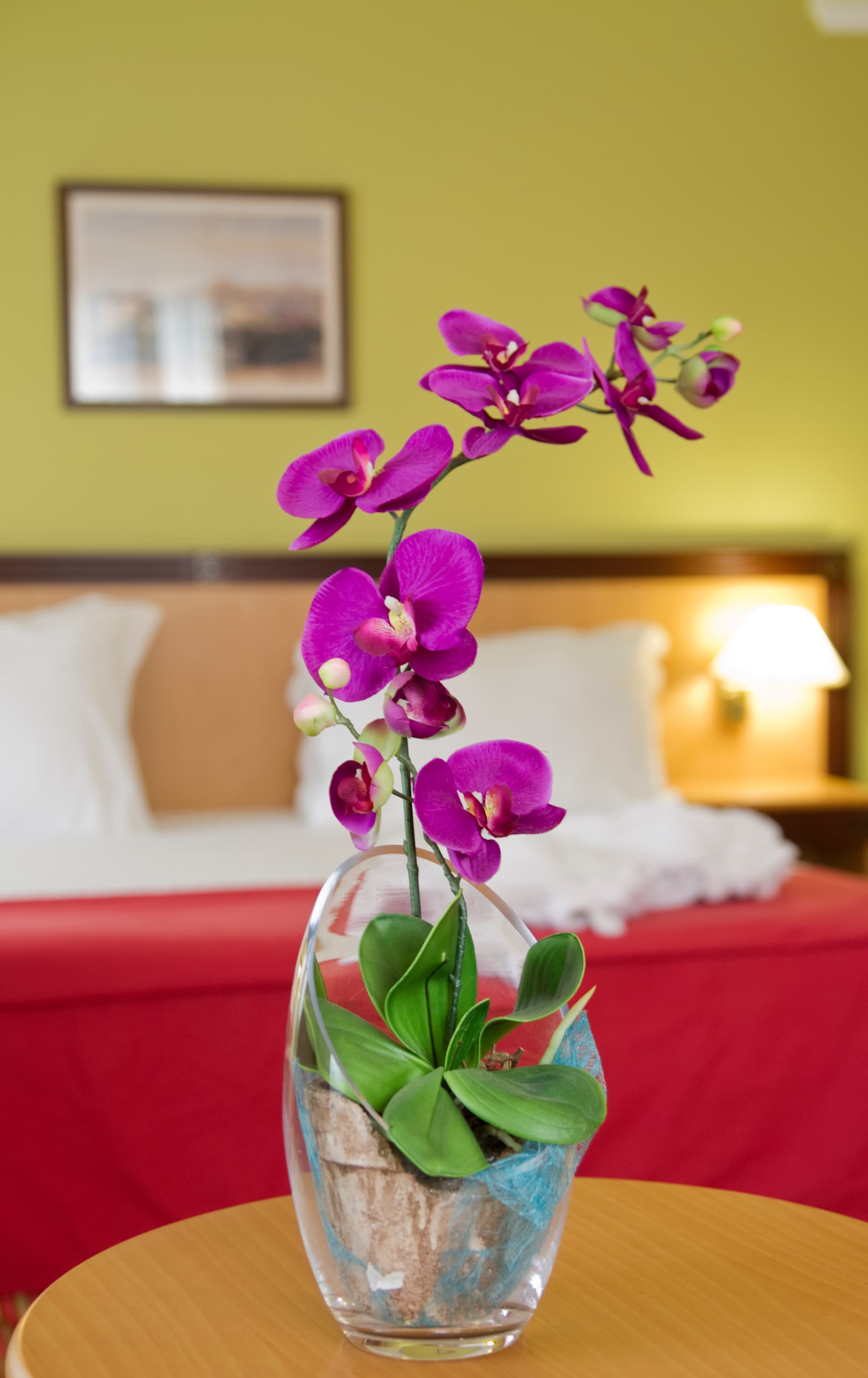 Quinta Bela Sao Tiago, Room