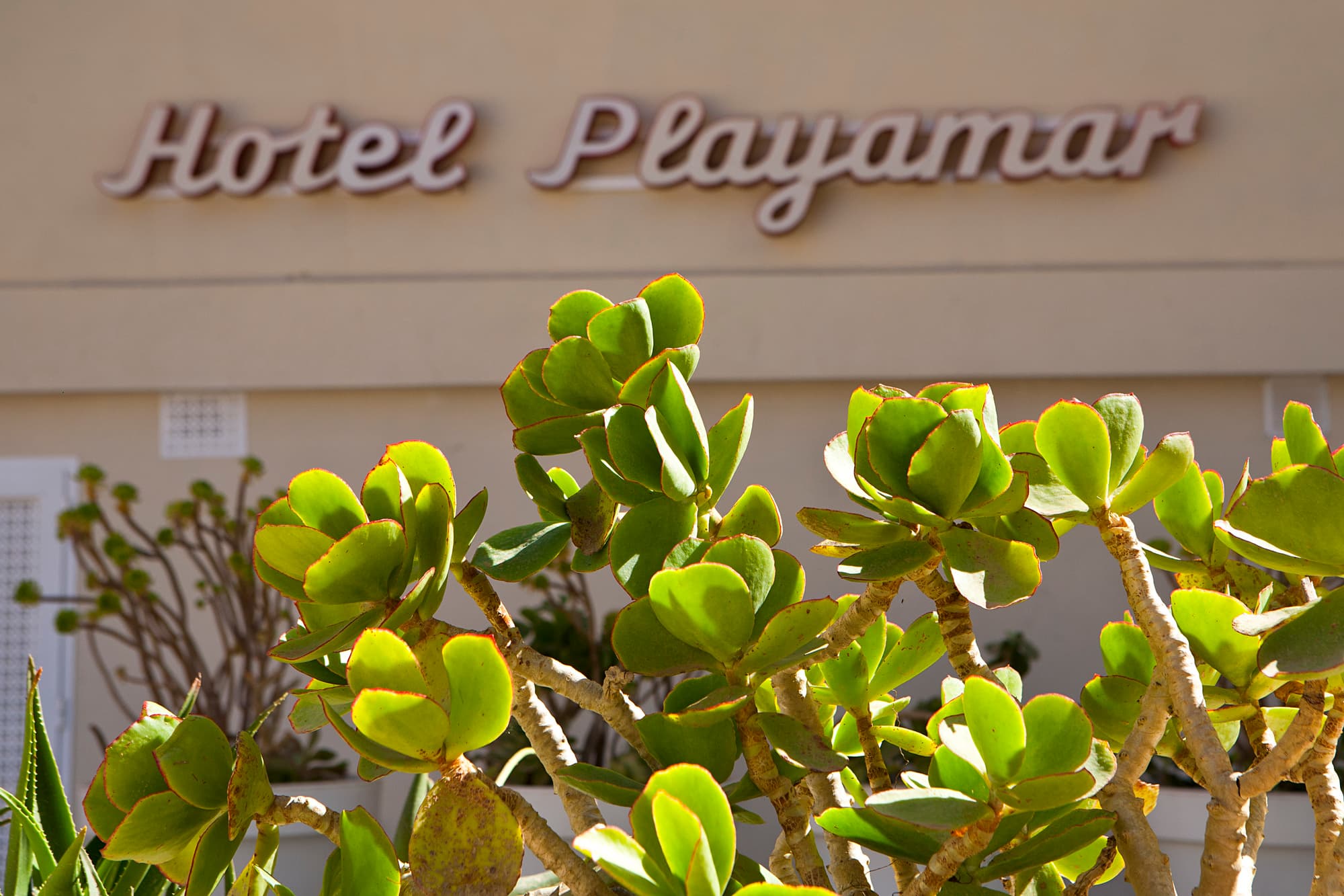 Playamar Hotel & Apartamentos