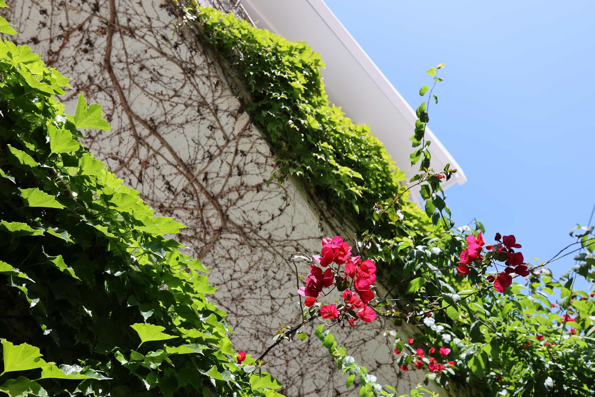 Olympic Kosma Hotel & Villas