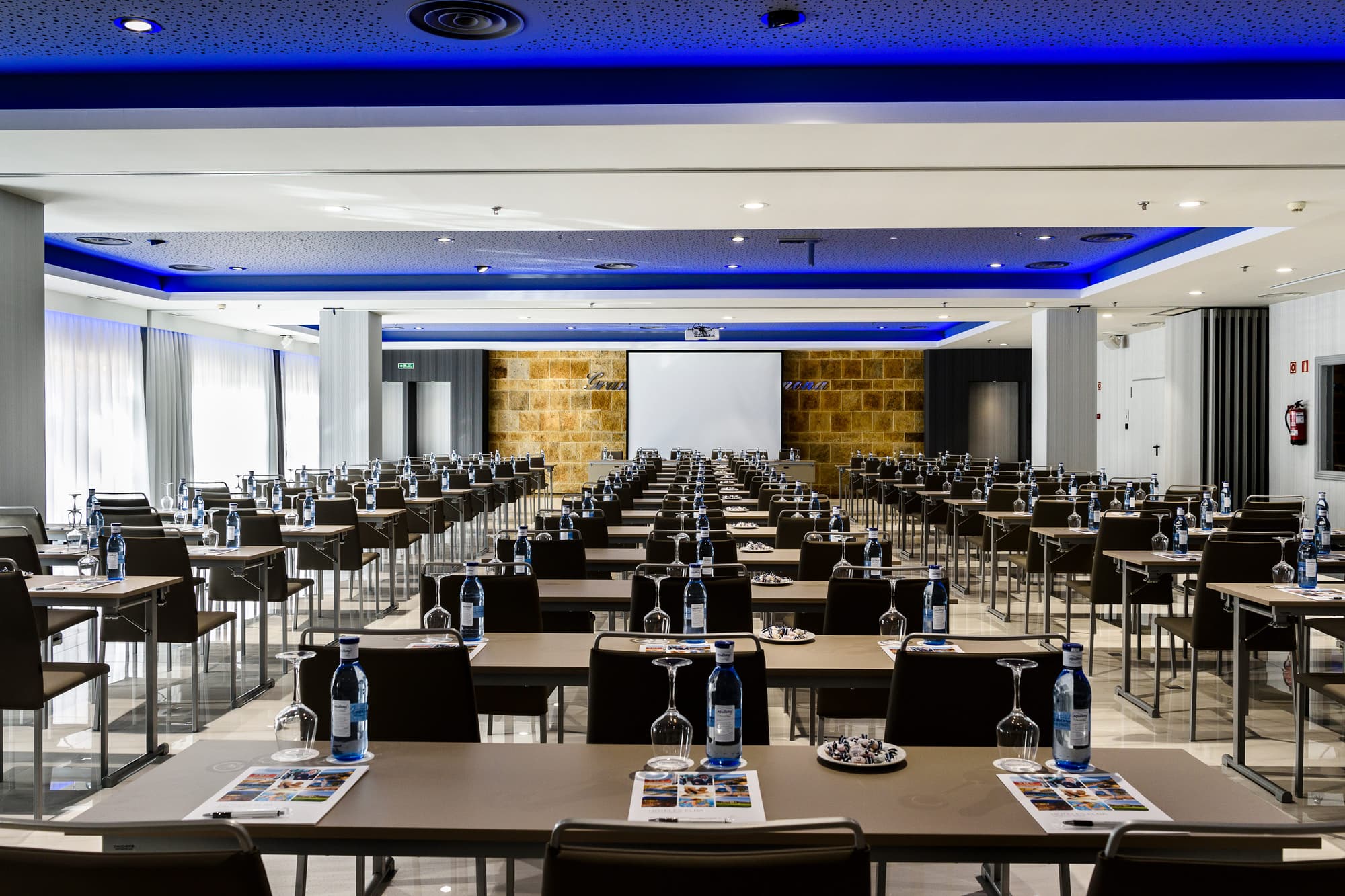 Elba Estepona Gran Hotel & Thalasso Spa, Conferences