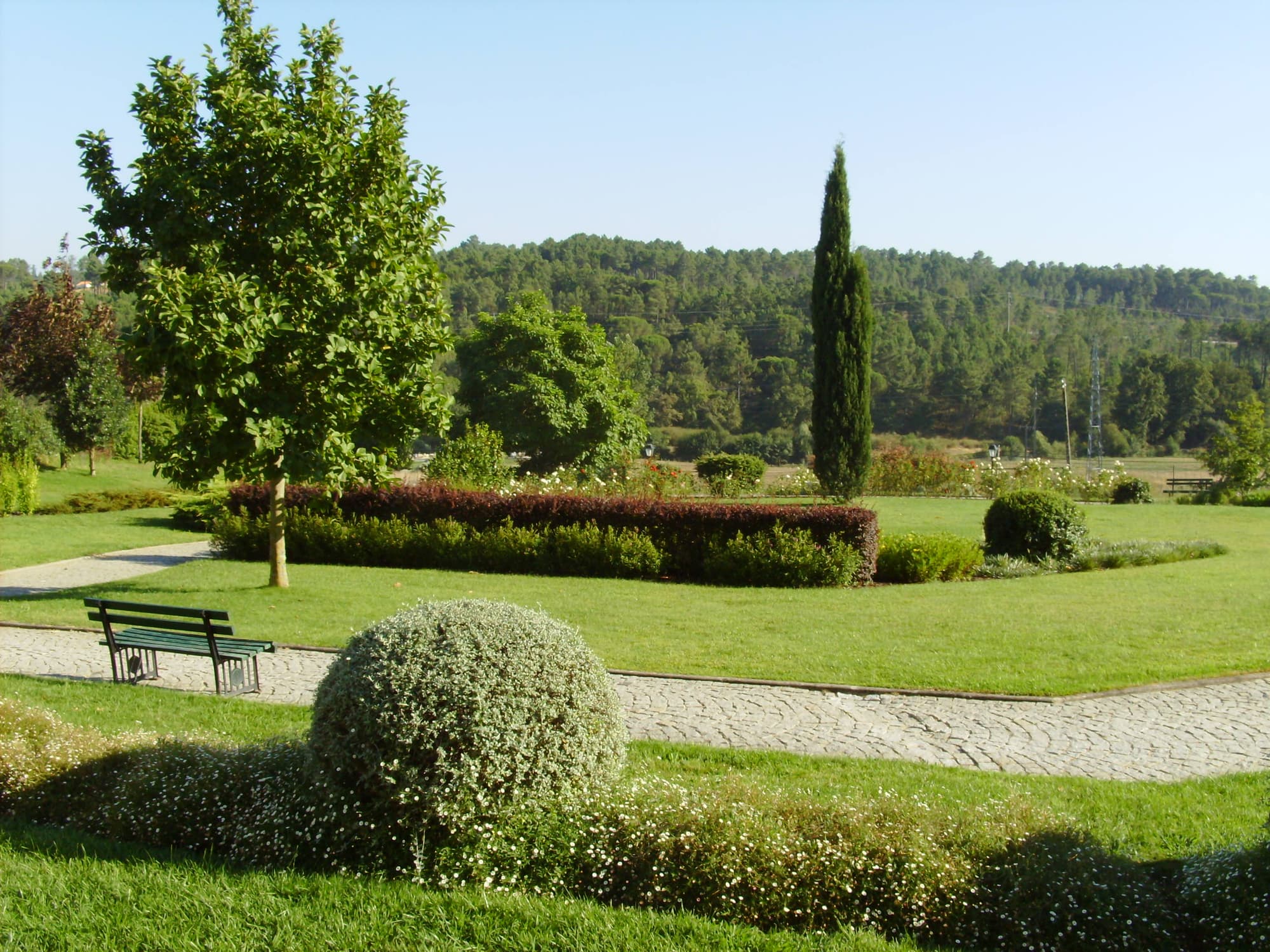 Montebelo Principe Perfeito Viseu Garden Hotel, Terrace