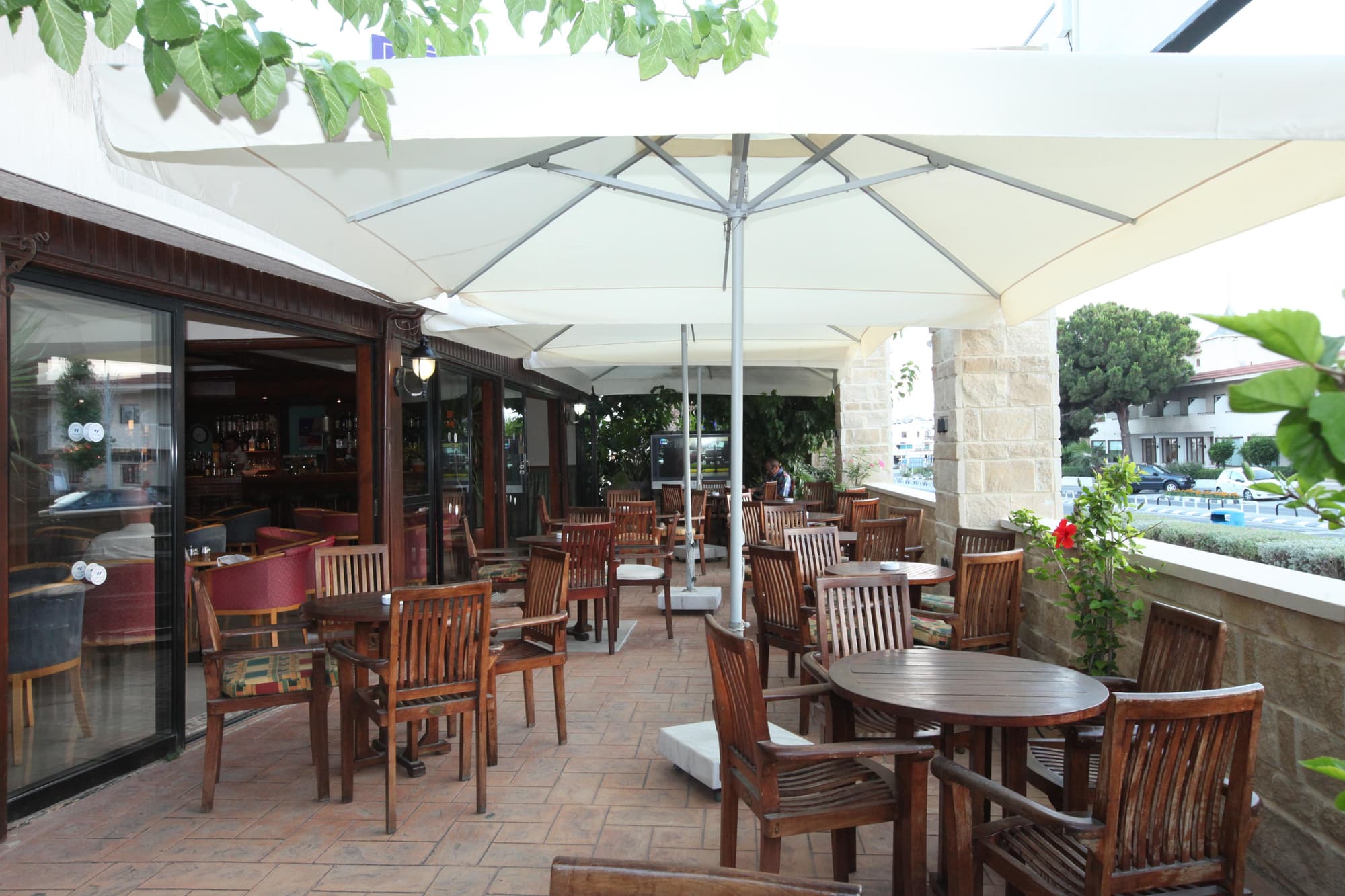Veronica