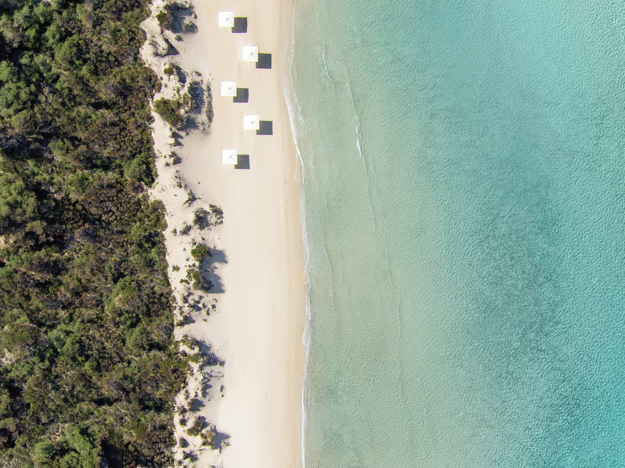 Sani Beach