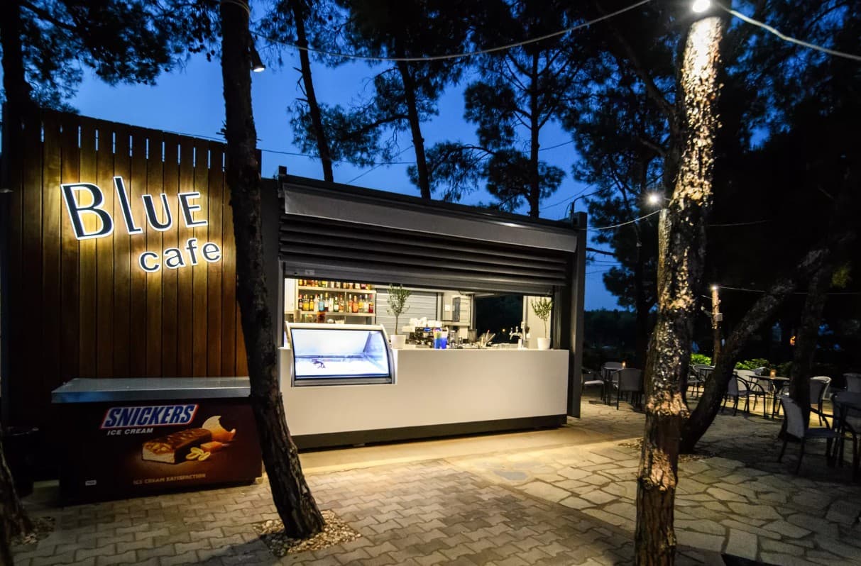 Blue Dolphin