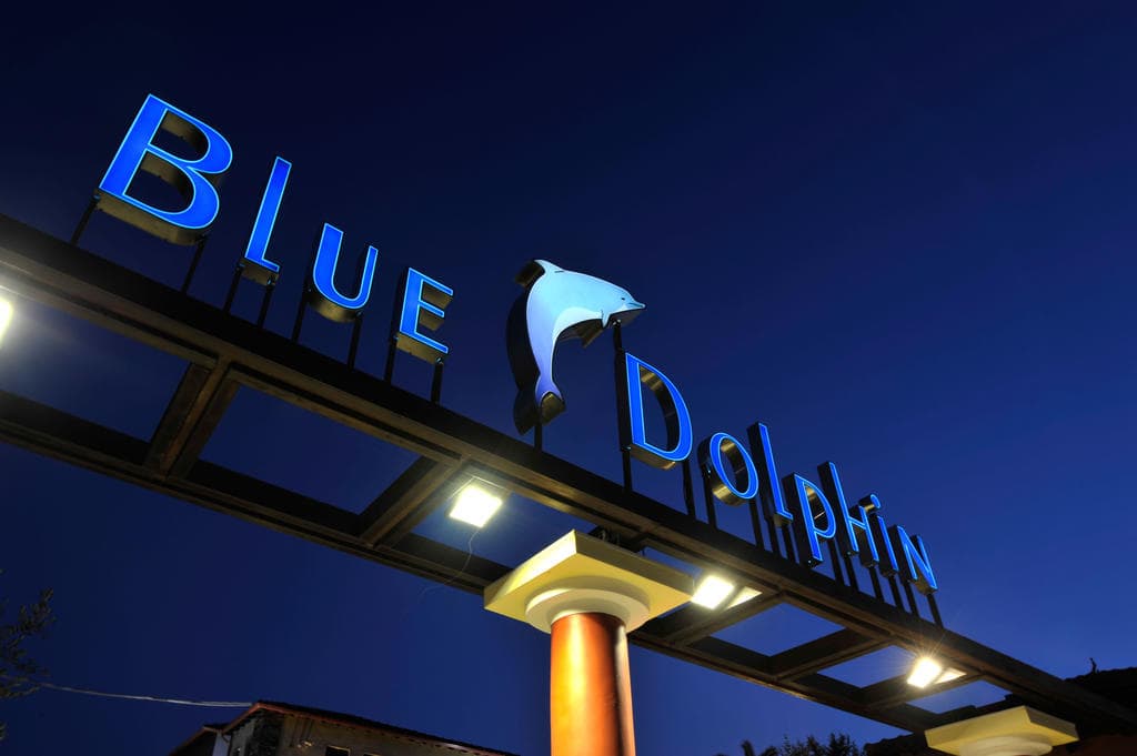 Blue Dolphin