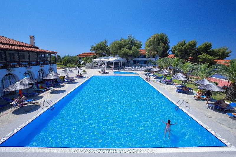 Blue Dolphin