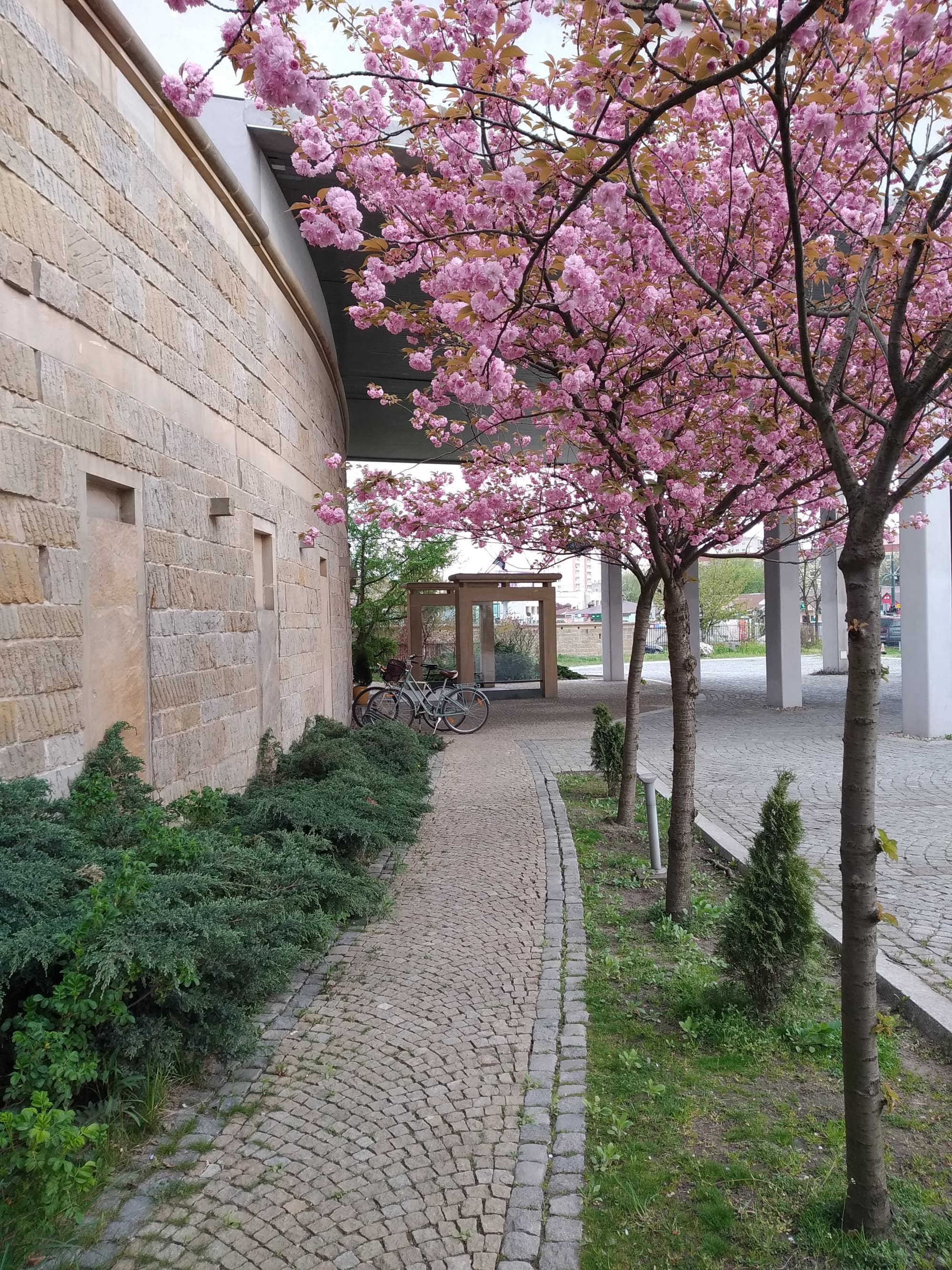 Sympozjum Hotel & Spa