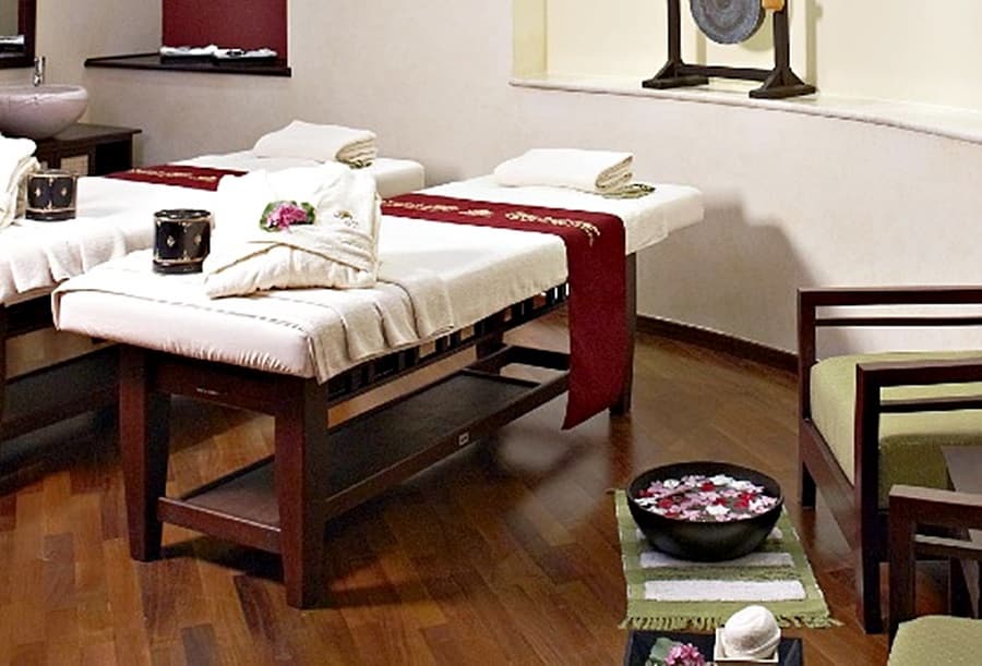 Ausonia Hungaria, General view