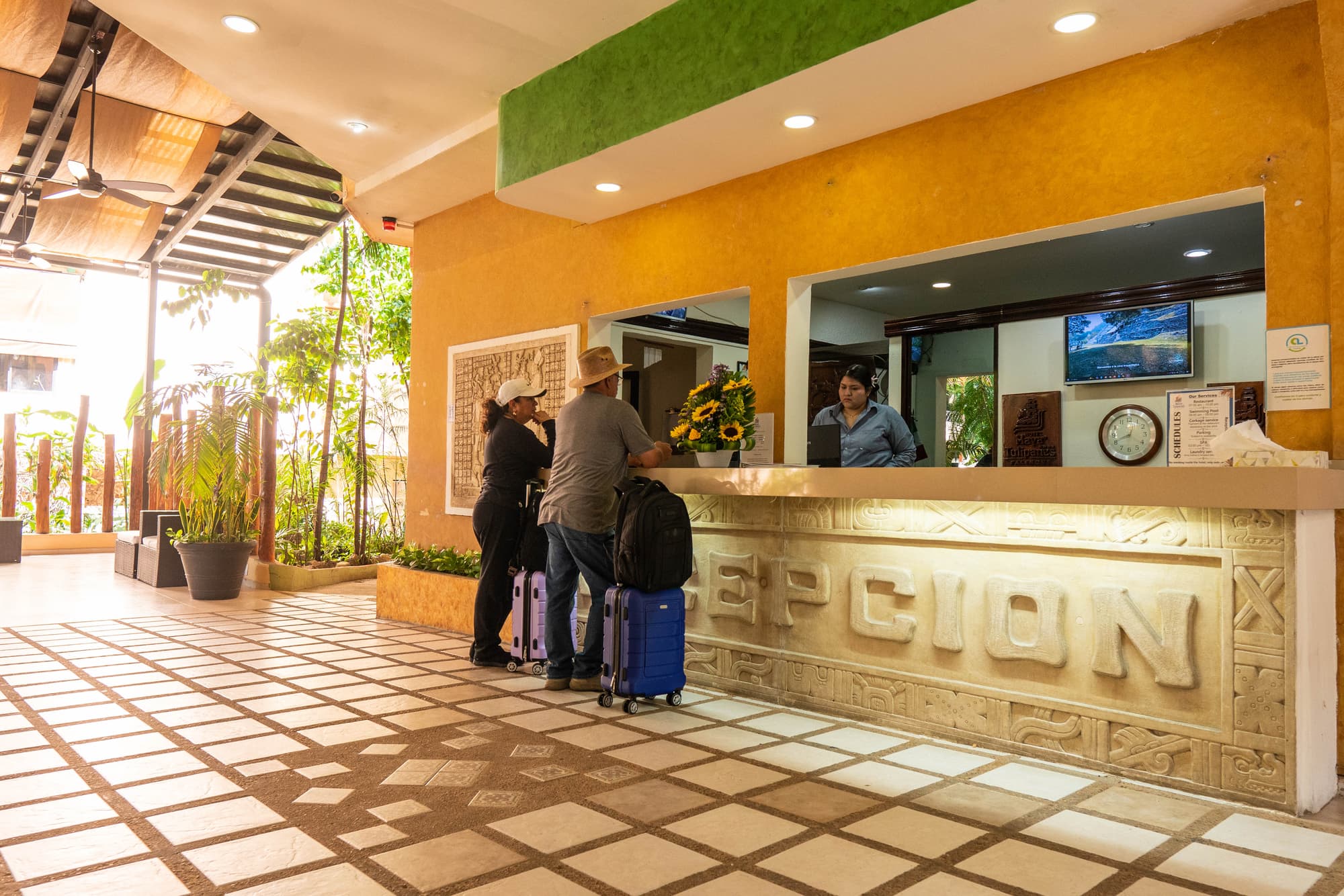 Maya Tulipanes, Lobby