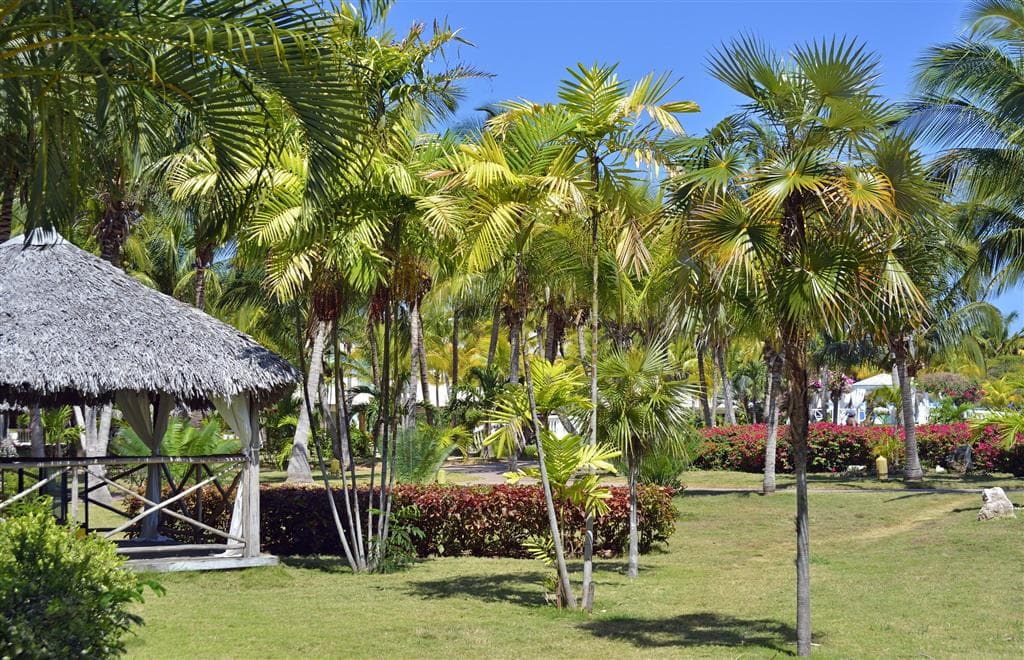 Hotel Camino del Mar