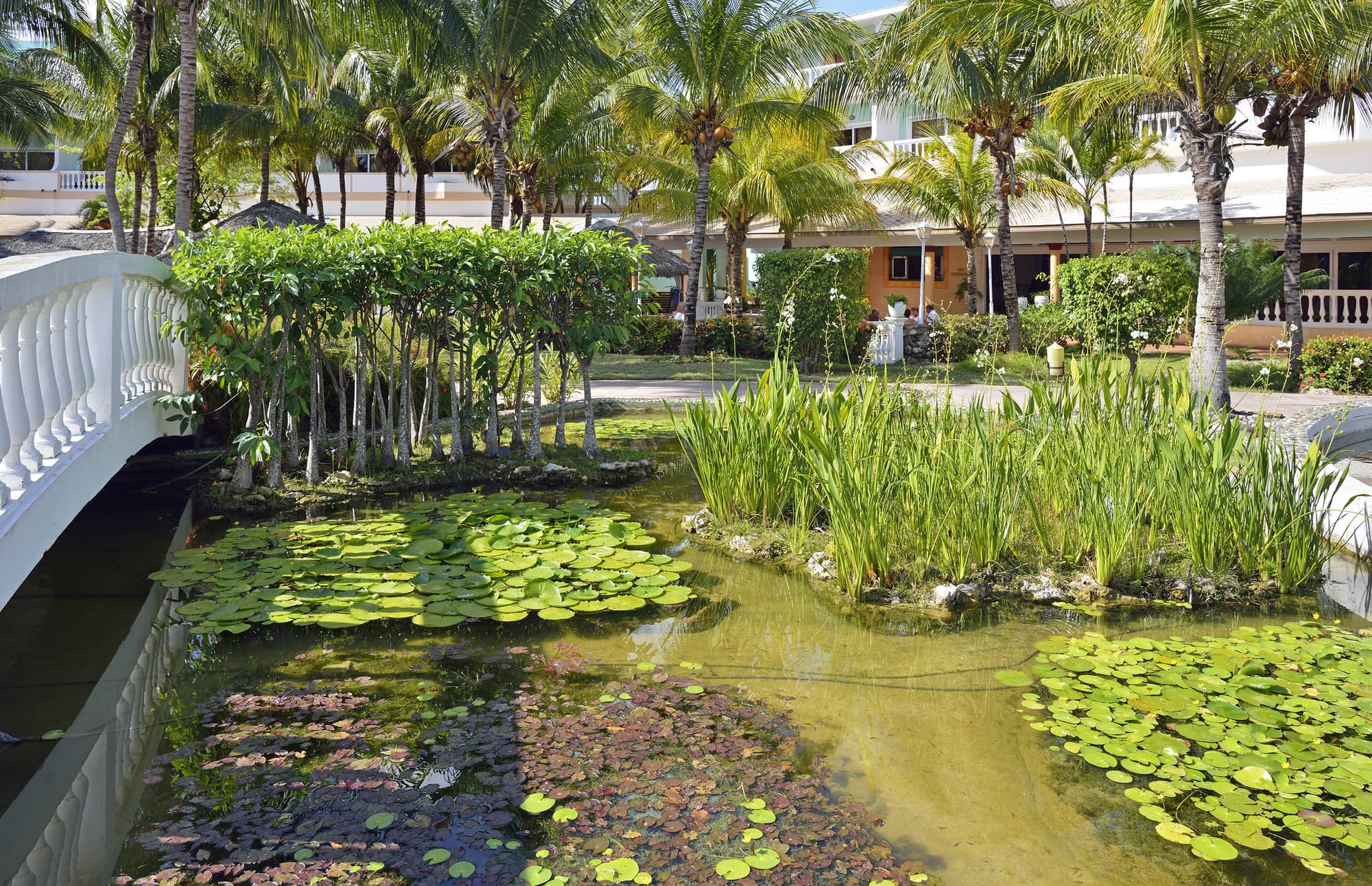 Hotel Camino del Mar
