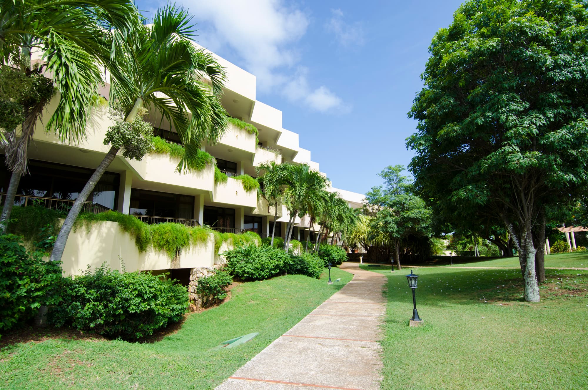 Hotel Los Cactus