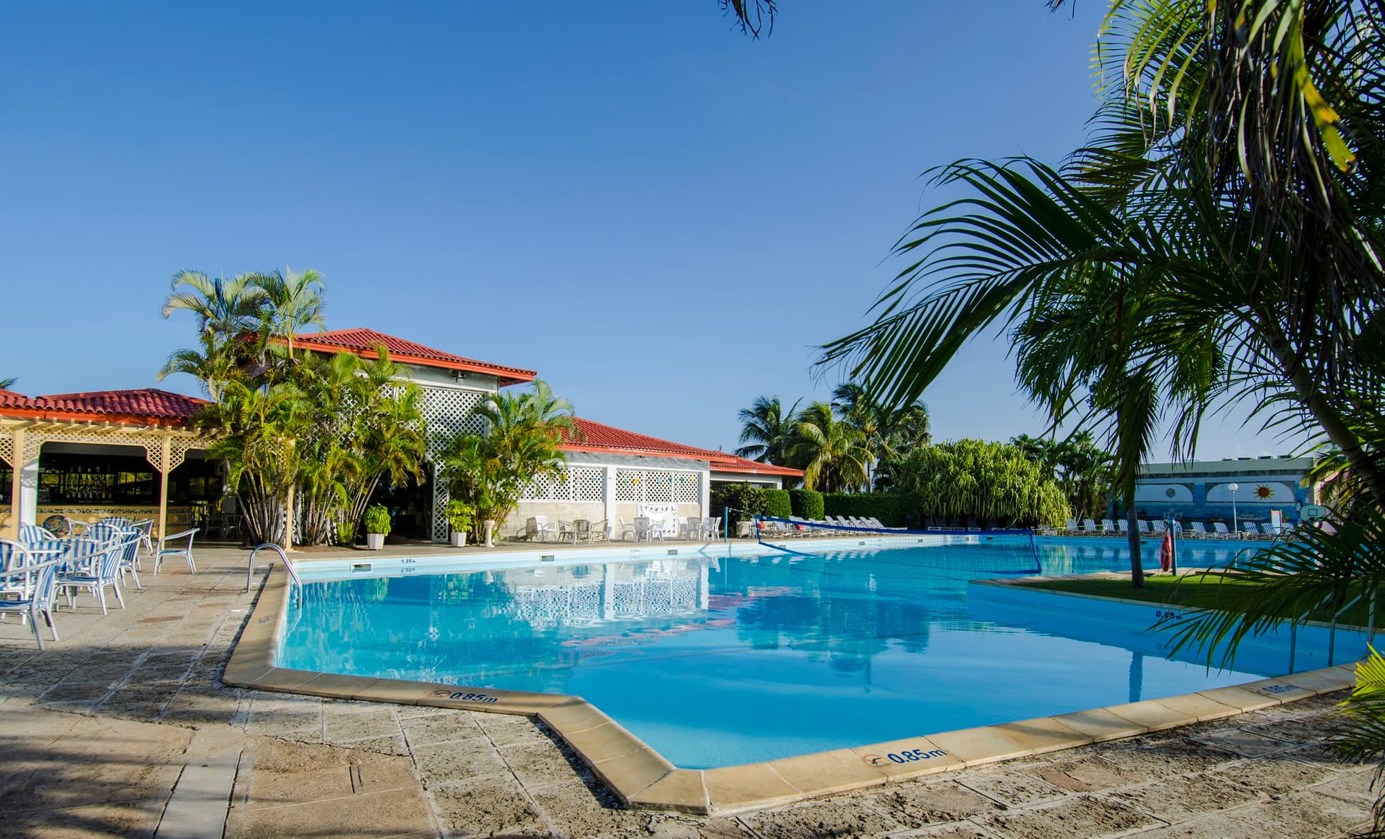 Hotel Los Cactus