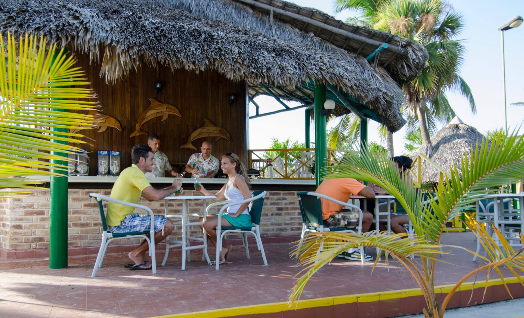 Hotel Los Cactus