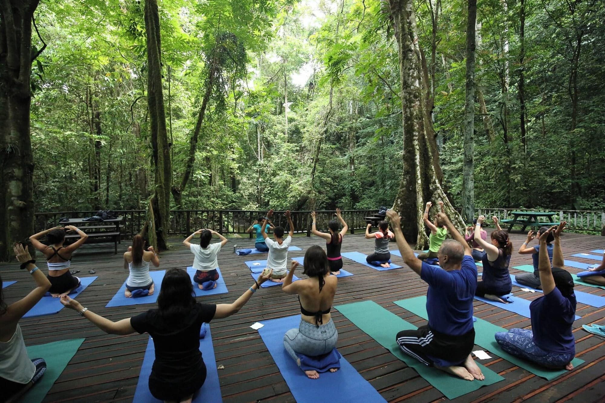 Mulu Marriott Resort & Spa