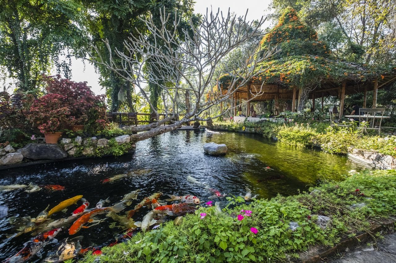 Phu Chaisai Mountain Resort & Spa Chiangrai, General view