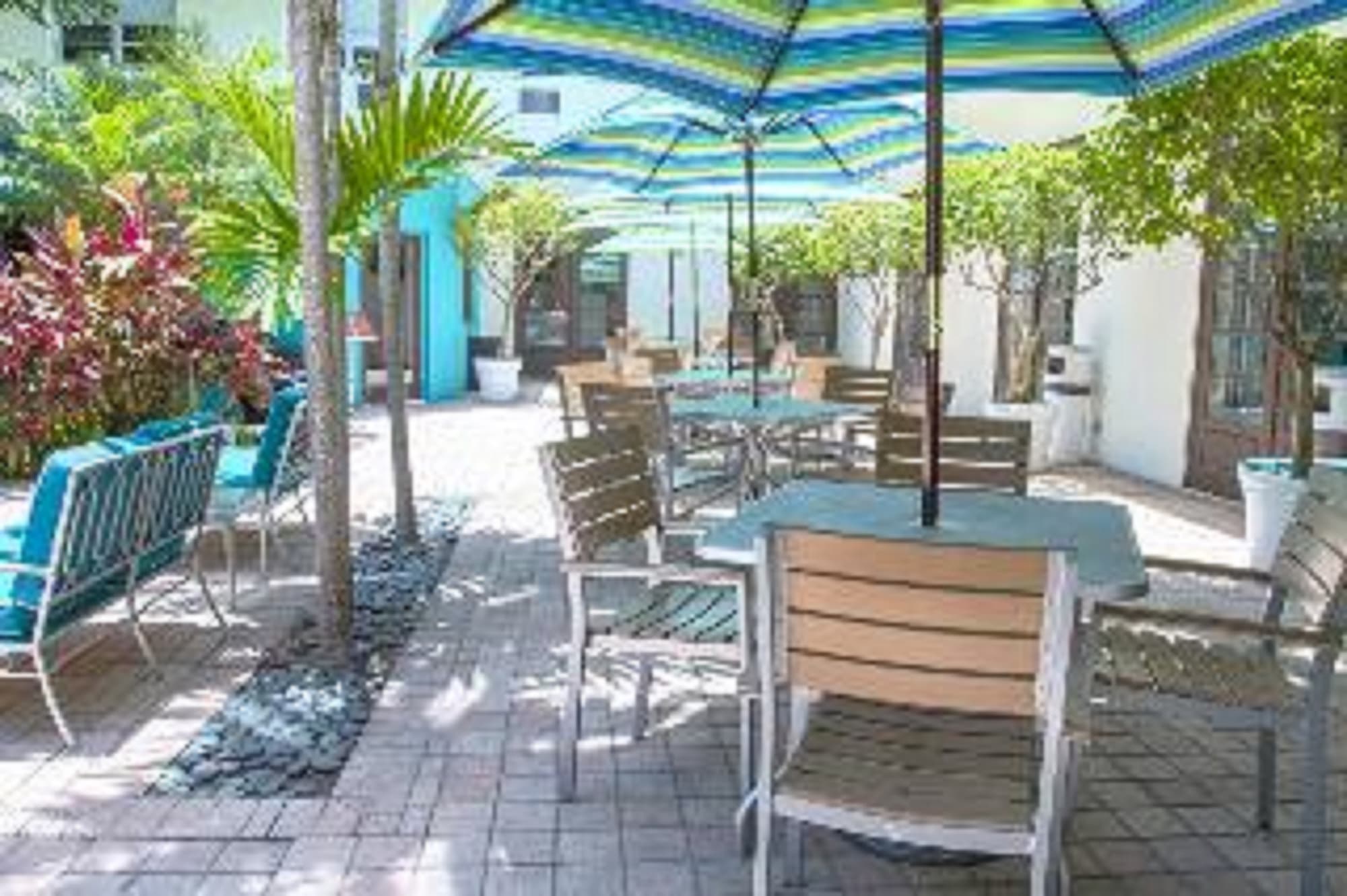 Dorchester Miami Beach Hotel & Suites, Terrace