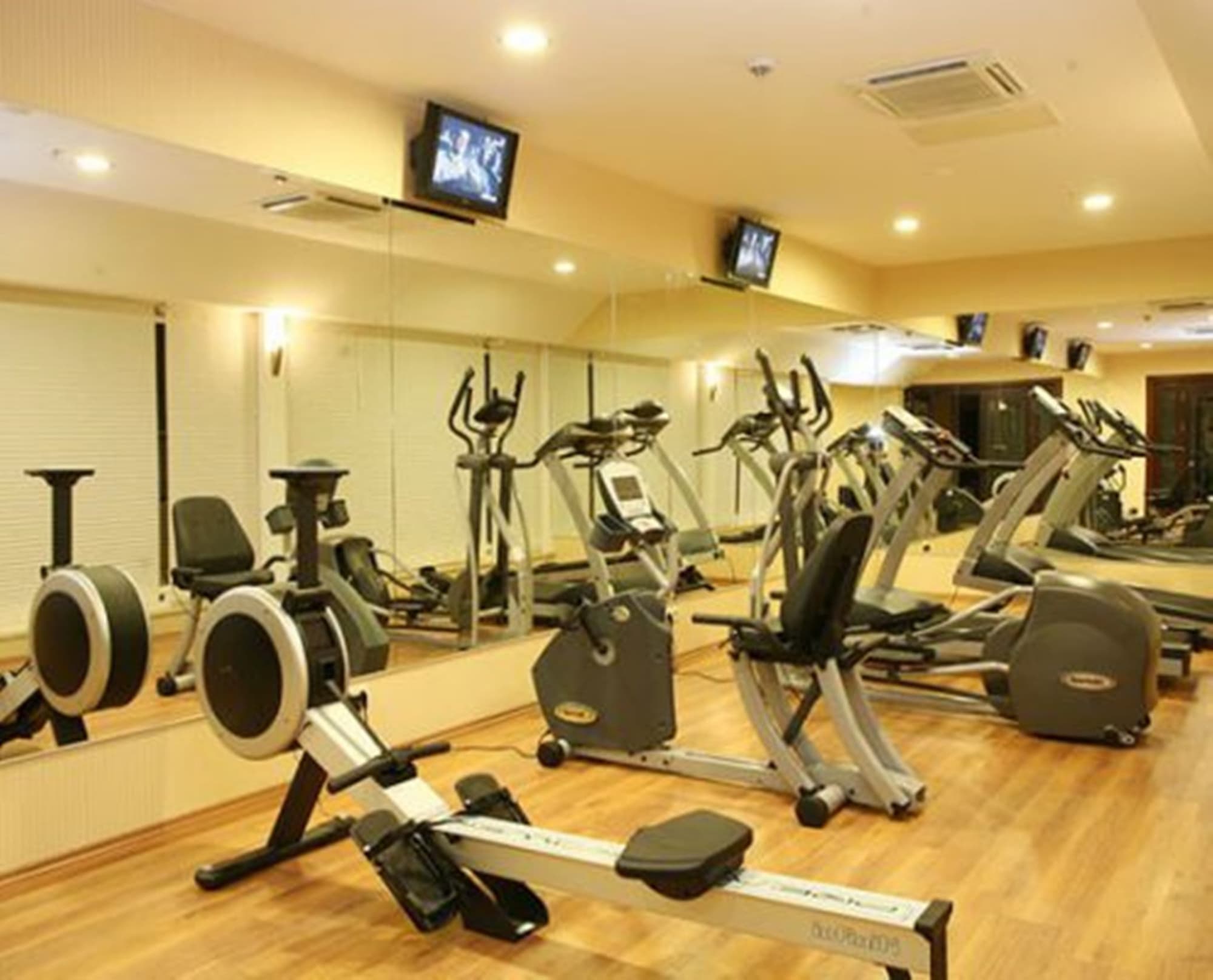 Latanya Palm Airport Aleria Hotels