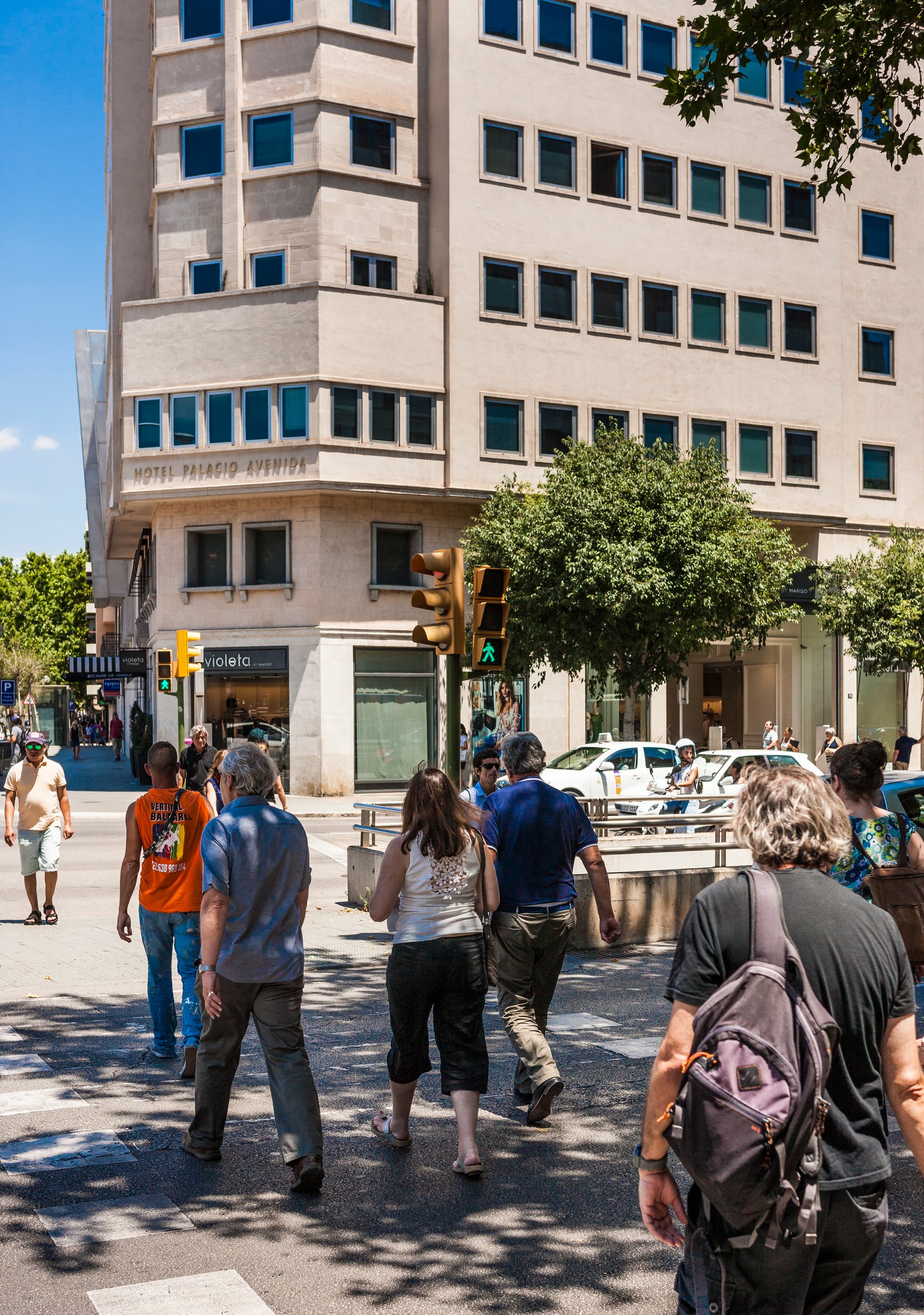 Hotel Palma Avenidas, General view
