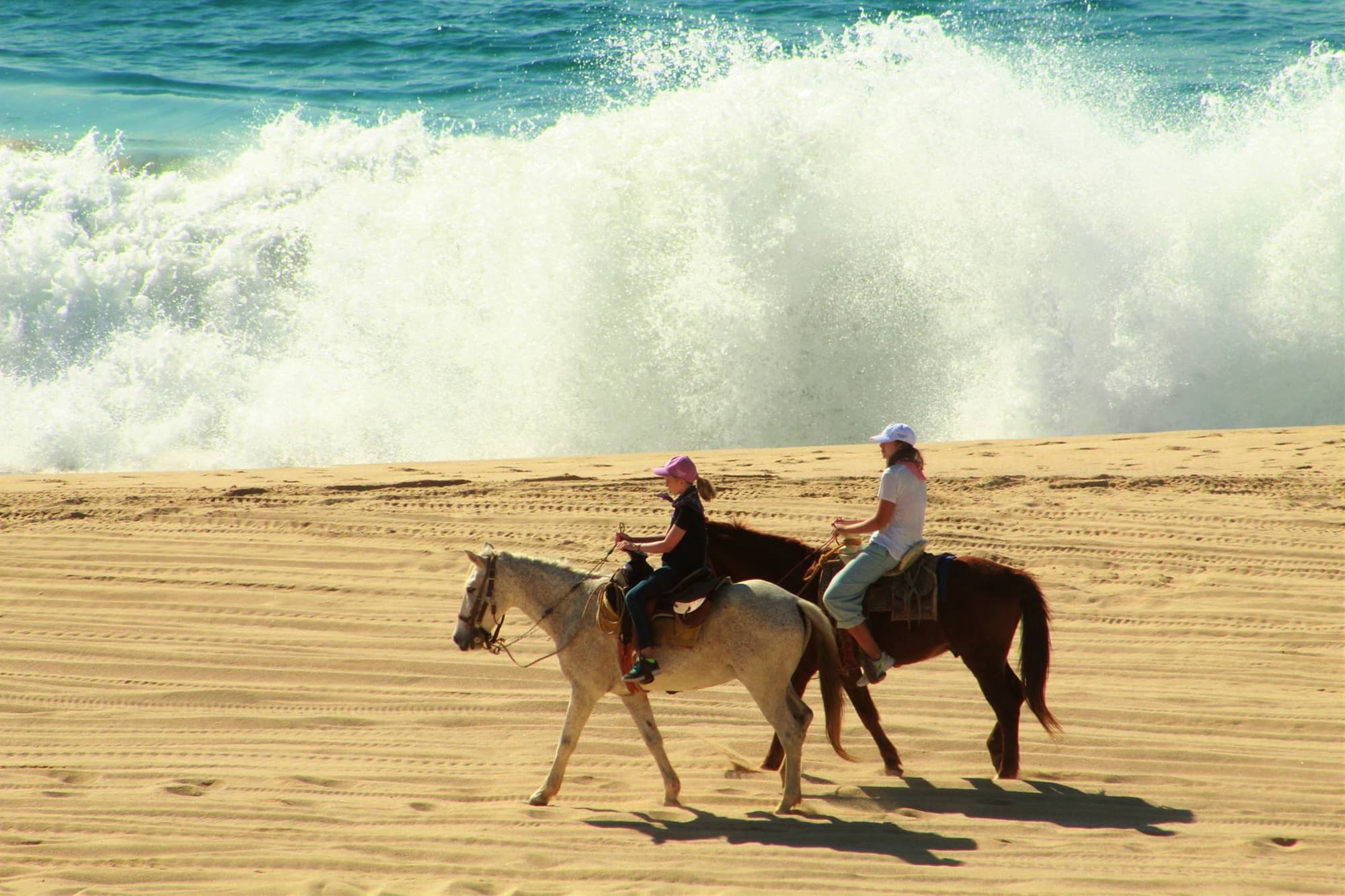 Morgan Boutique Hotel & Residences I Los Cabos