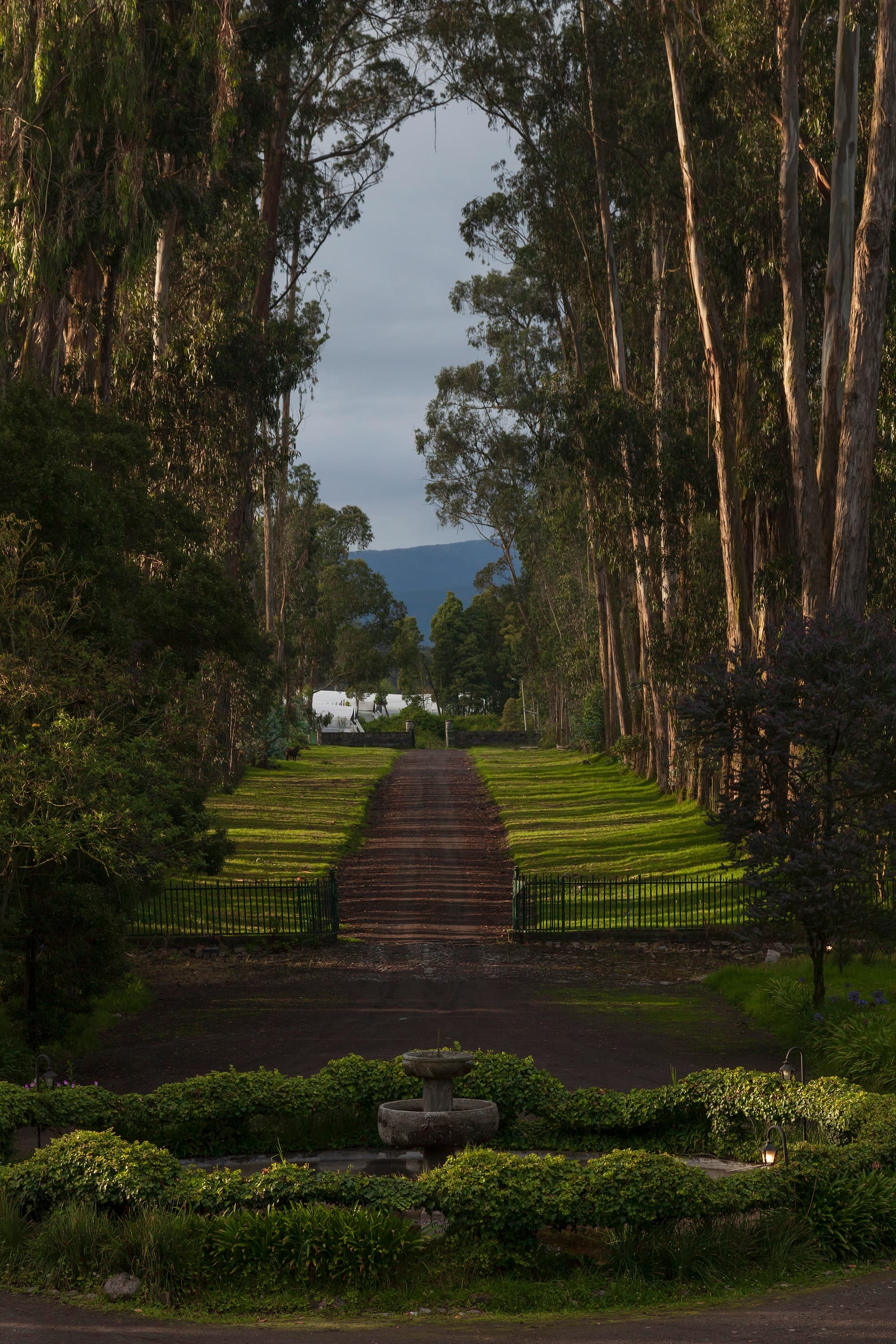 Hacienda La Ciénega