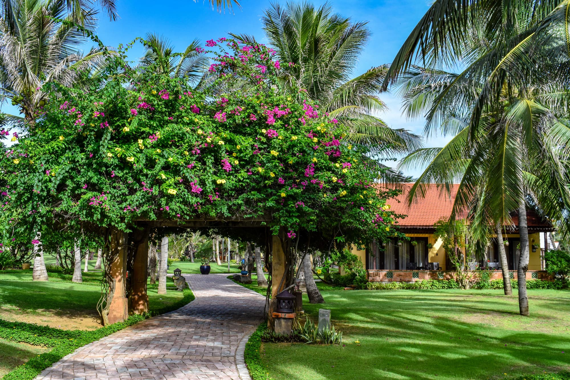 Pandanus Resort