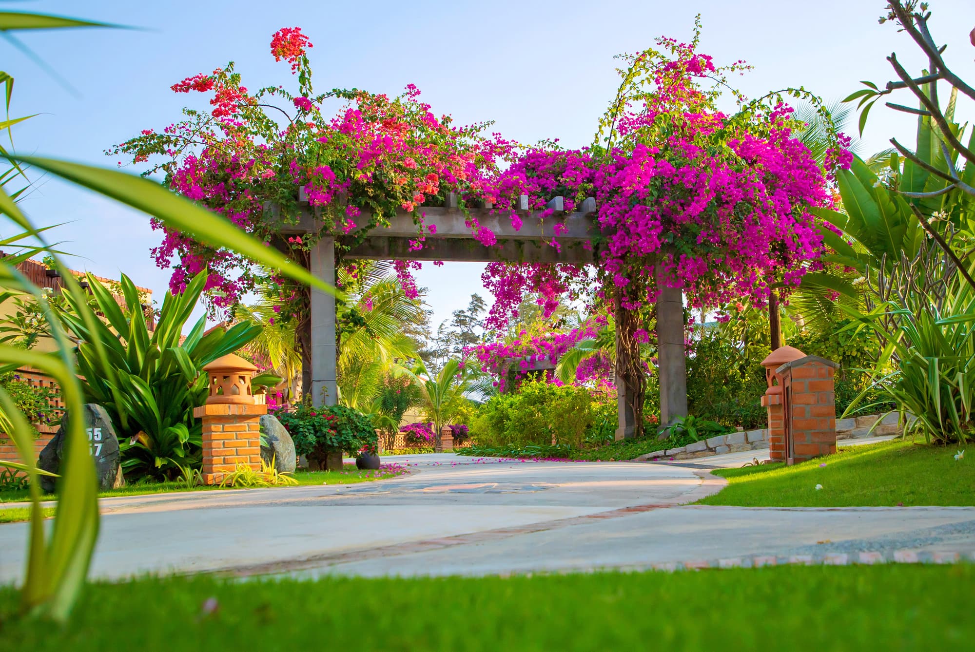 Pandanus Resort