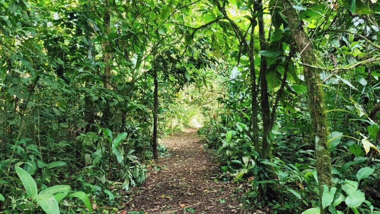 Hotel Gran Gavilan Del Sarapiqui