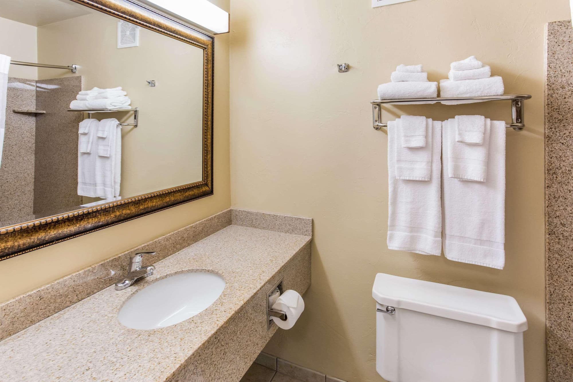 Quality Inn & Suites Green Bay Downtown