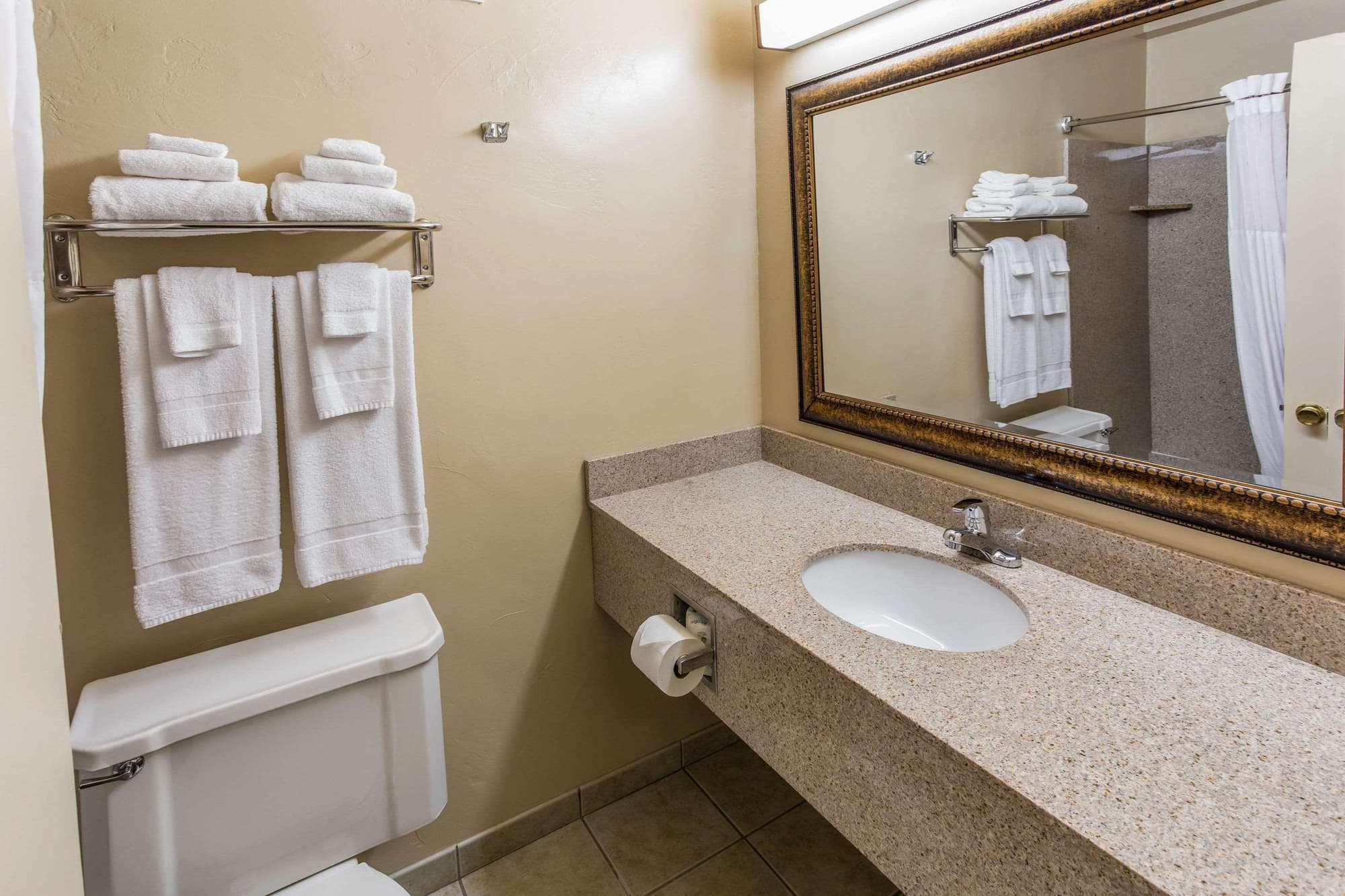 Quality Inn & Suites Green Bay Downtown