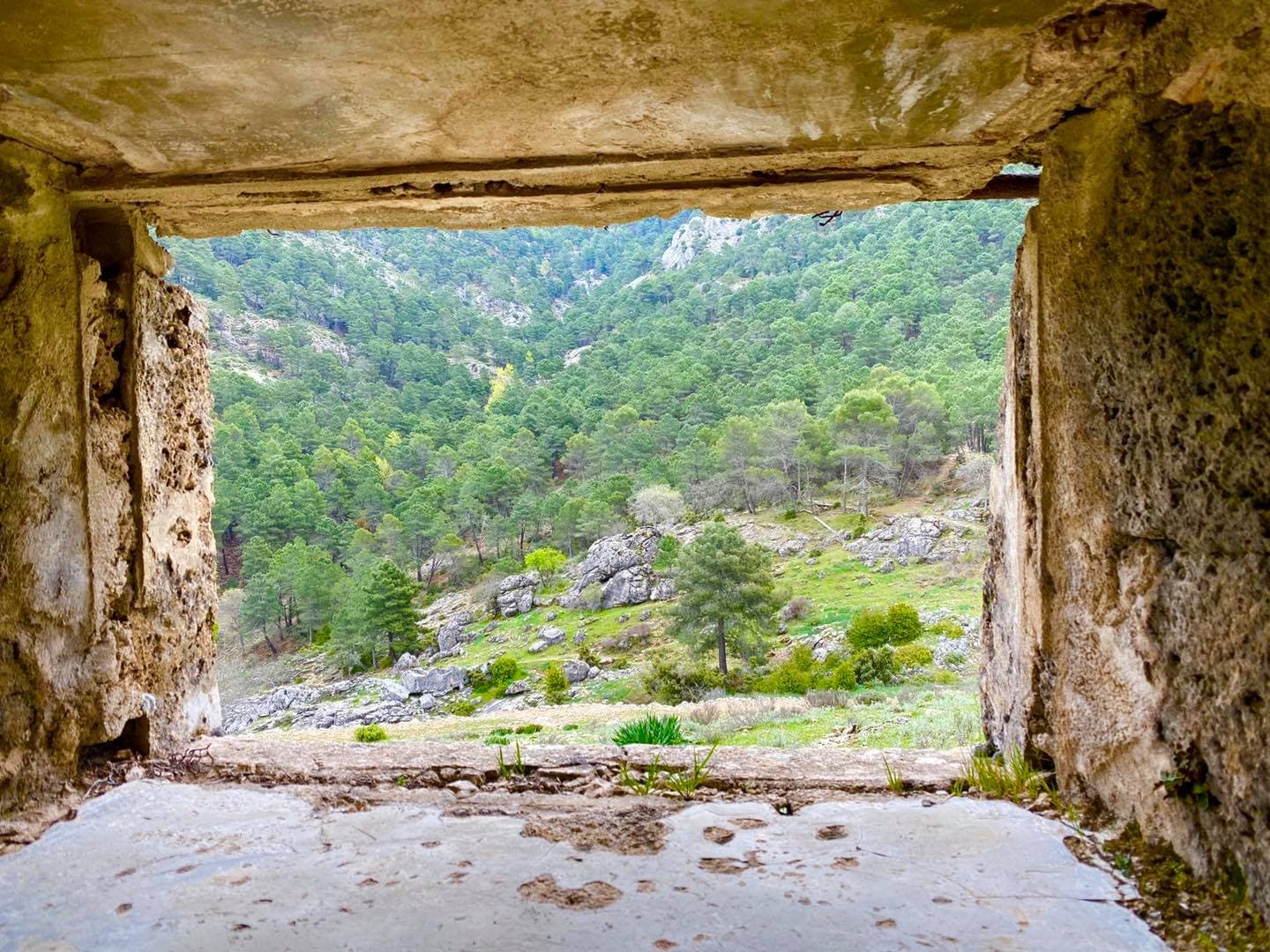 HOTEL RESTAURANTE El CURRO