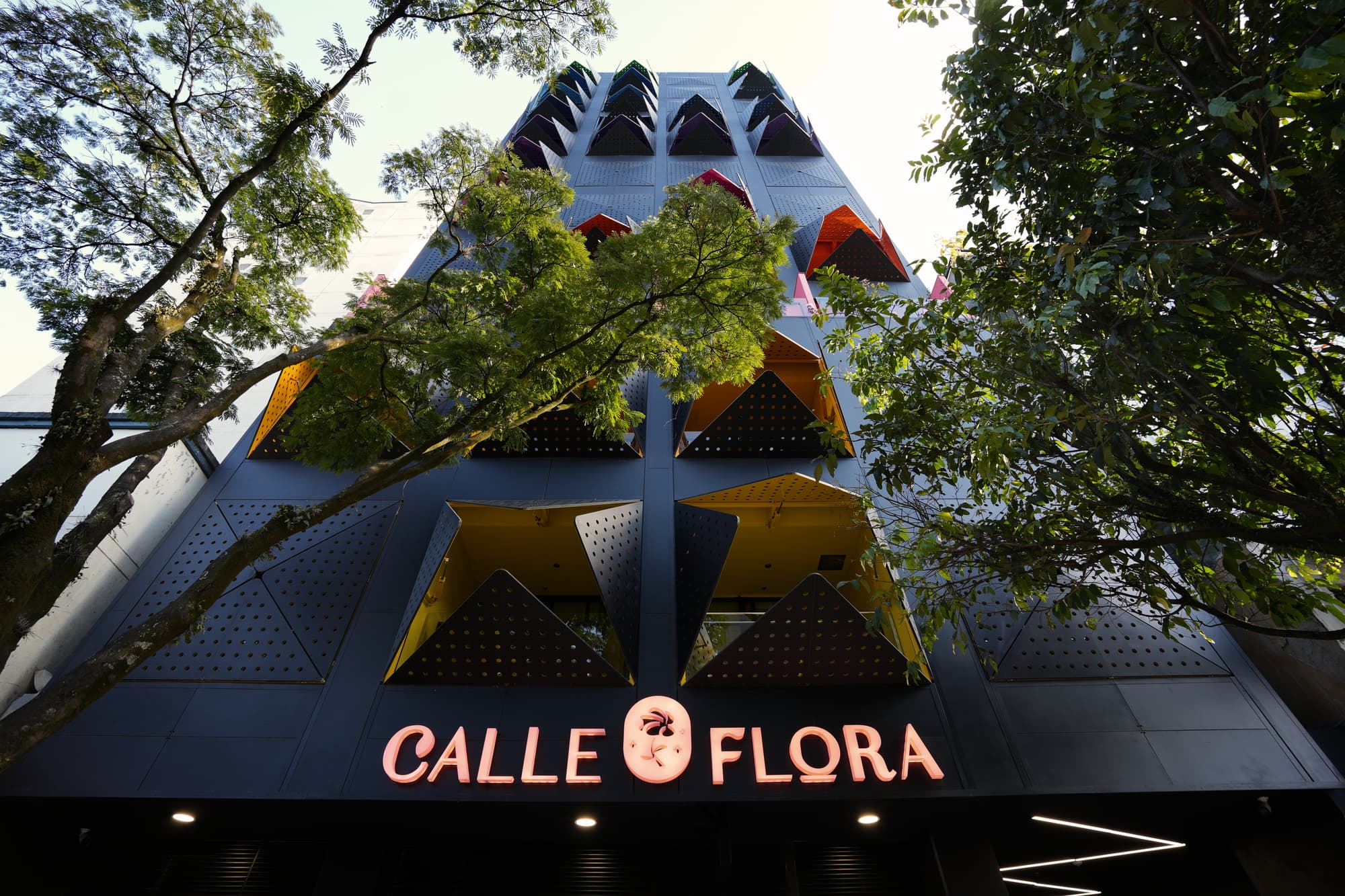 Calle Flora Hotel By Jalo