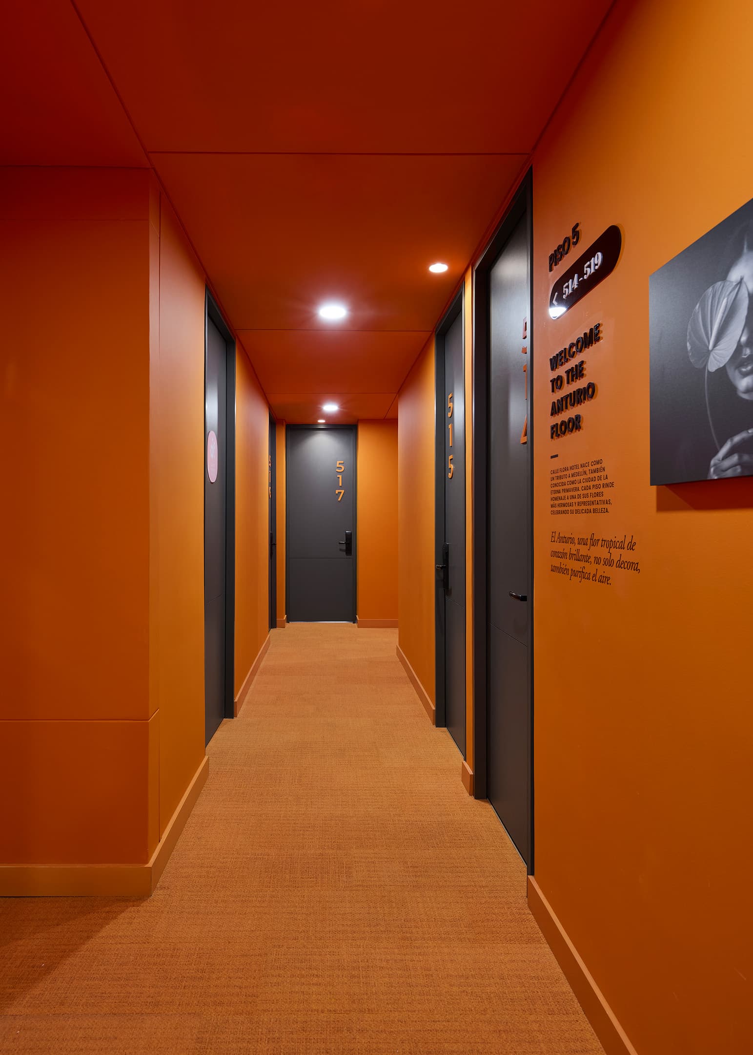 Calle Flora Hotel By Jalo