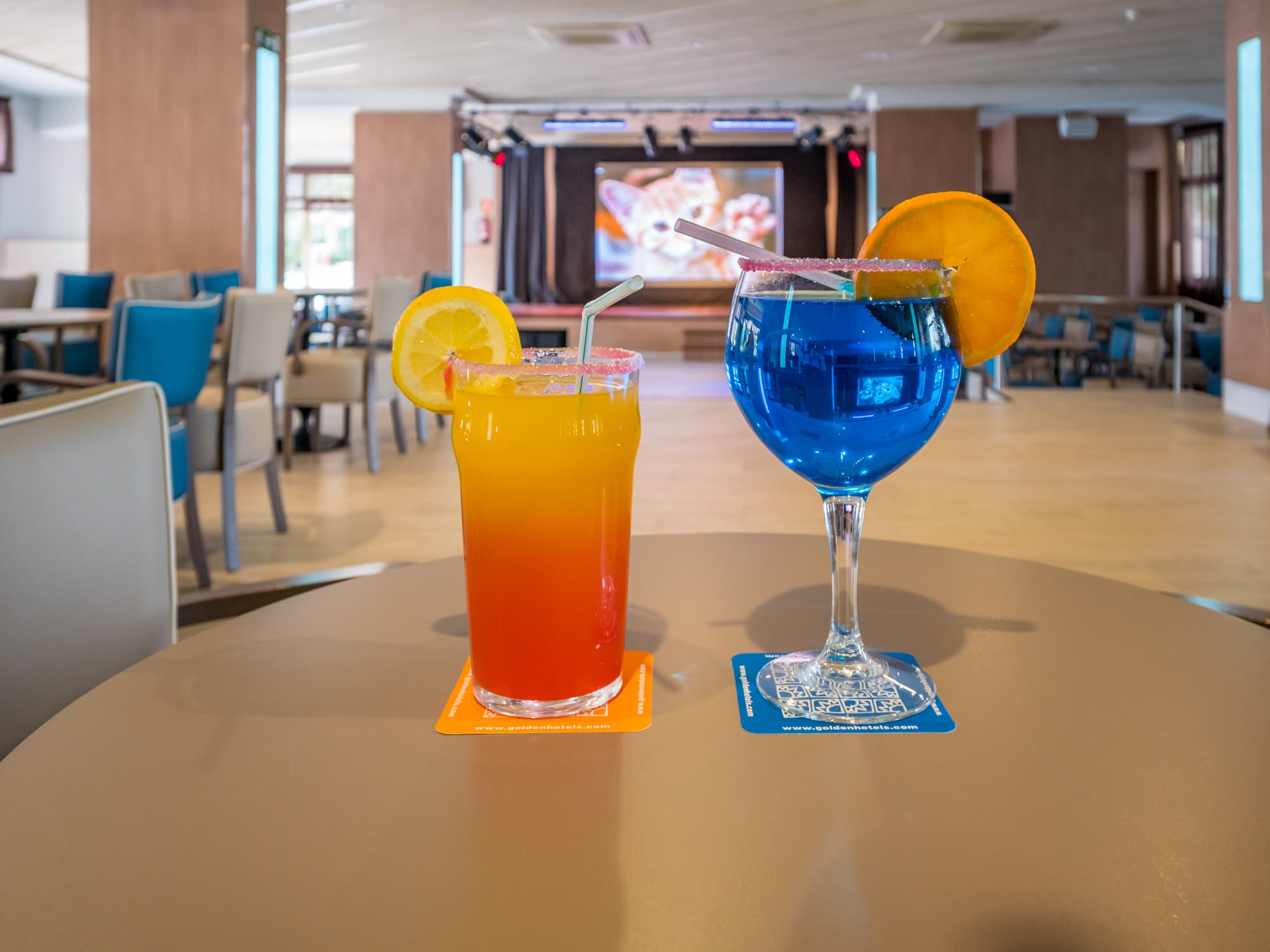 Golden Avenida Family Suites, Bar