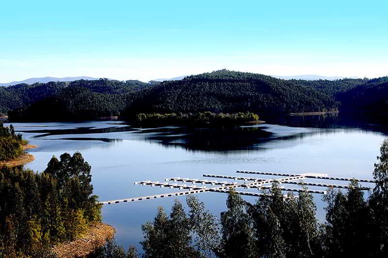 Montebelo Aguieira Lake Resort & Spa